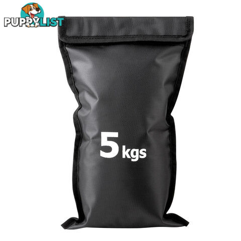 Sandbag Gym Training Weights 30 kg