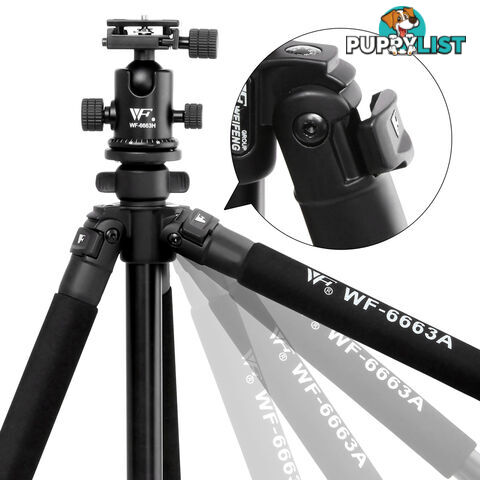 Professional Ball Head Tripod Digital Camera 173cm