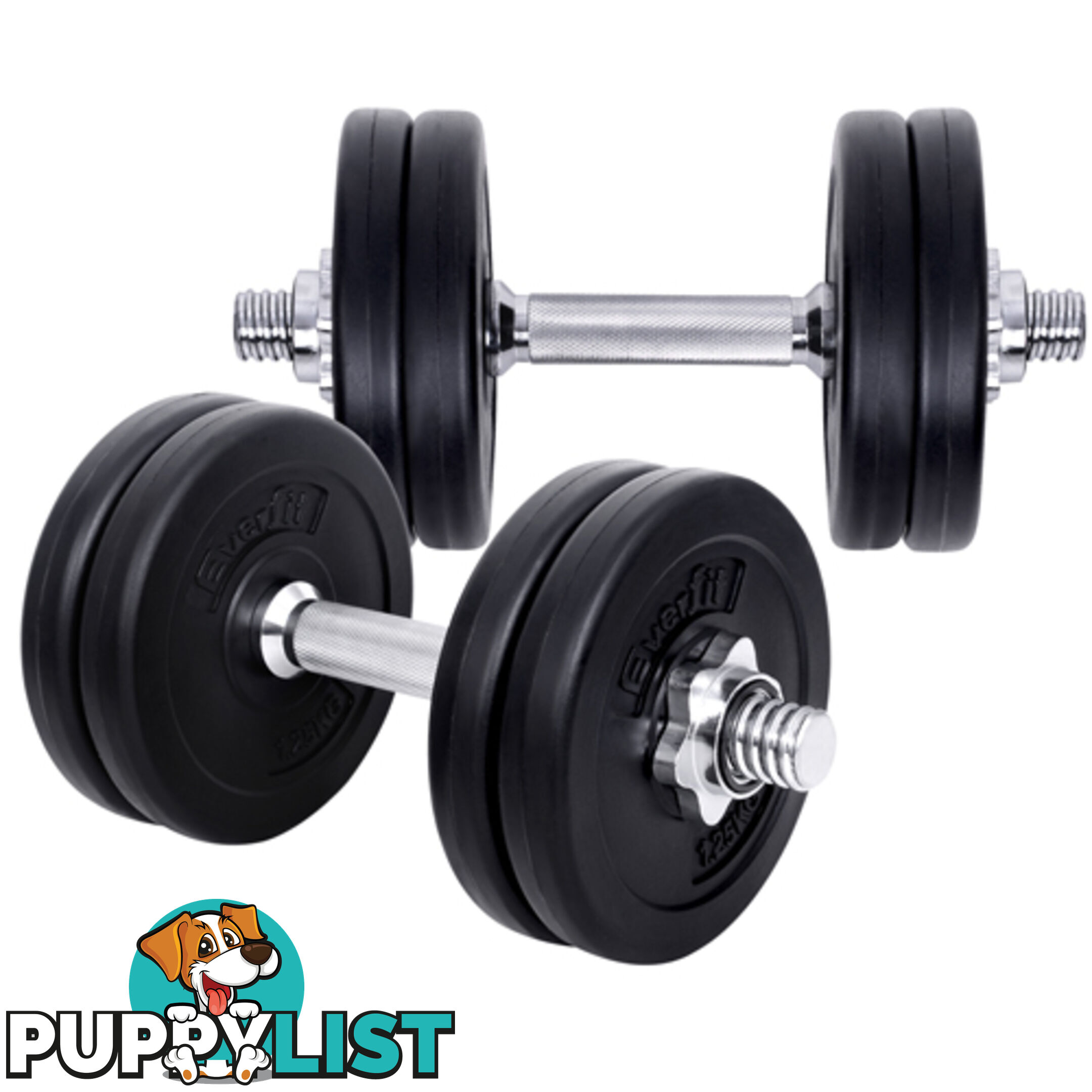 15kg Fitness Gym Exercise Dumbbell Set