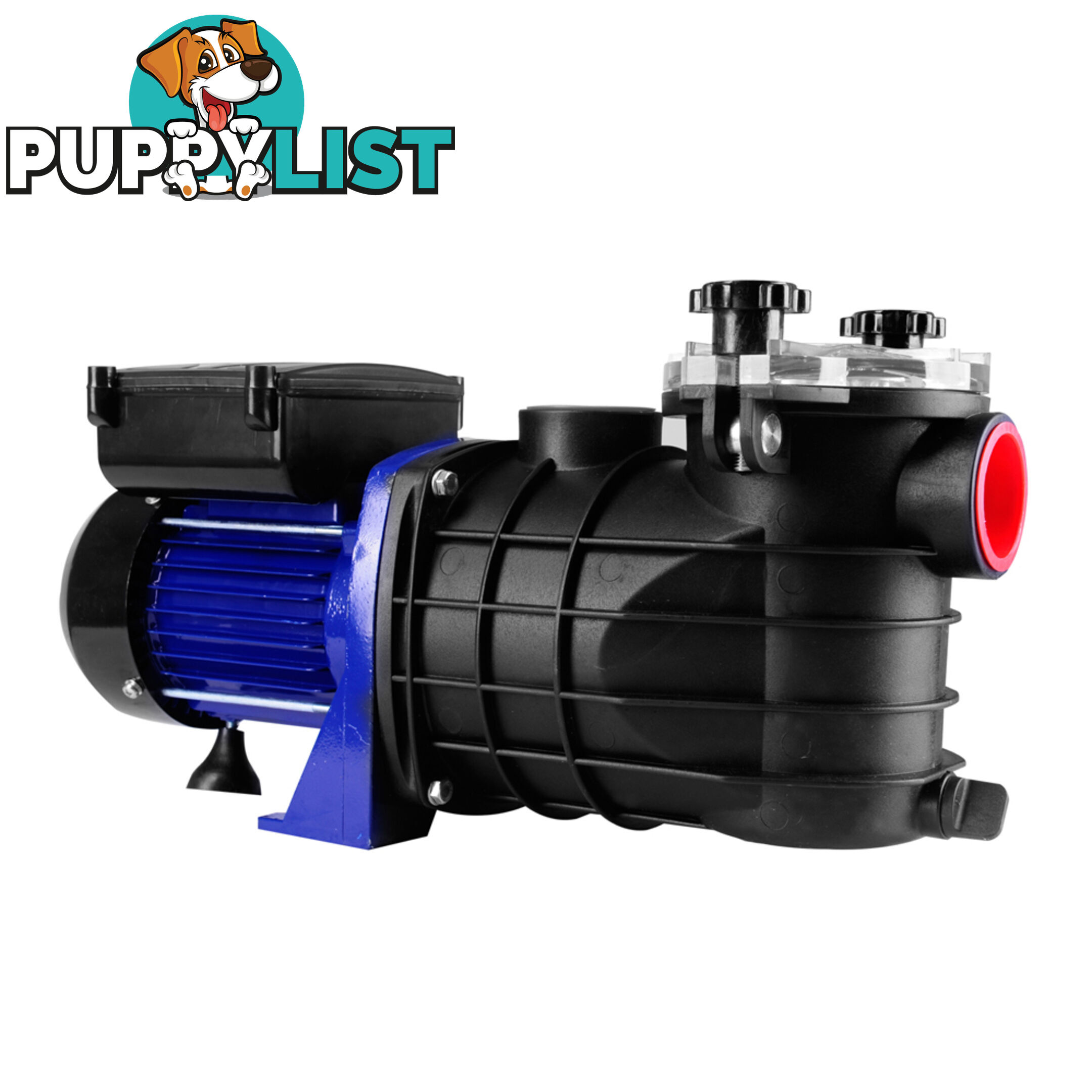 600W Swimming Pool Pump Electric Spa Self Priming Water Pressure 11000L/H 0.8HP