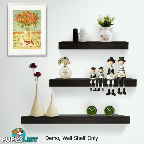 3 pcs Wall Floating Shelf Set Bookshelf Display Black