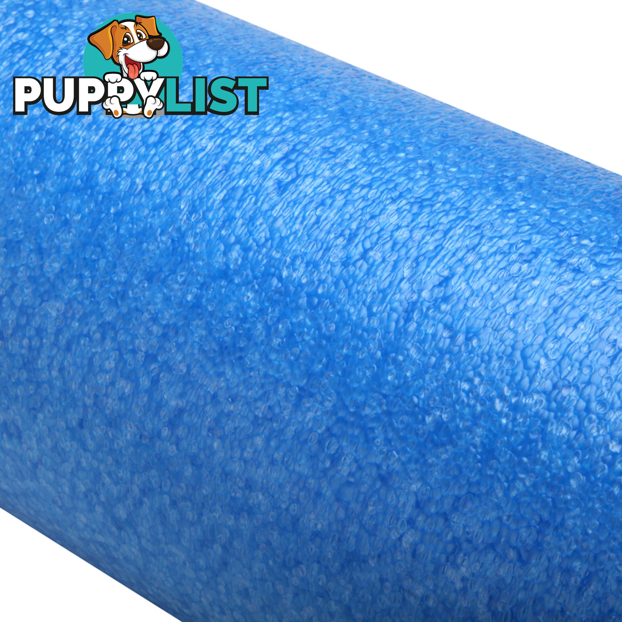 Yoga Gym Pilates EPE Stick Foam Roller Sky Blue 45 x 15cm