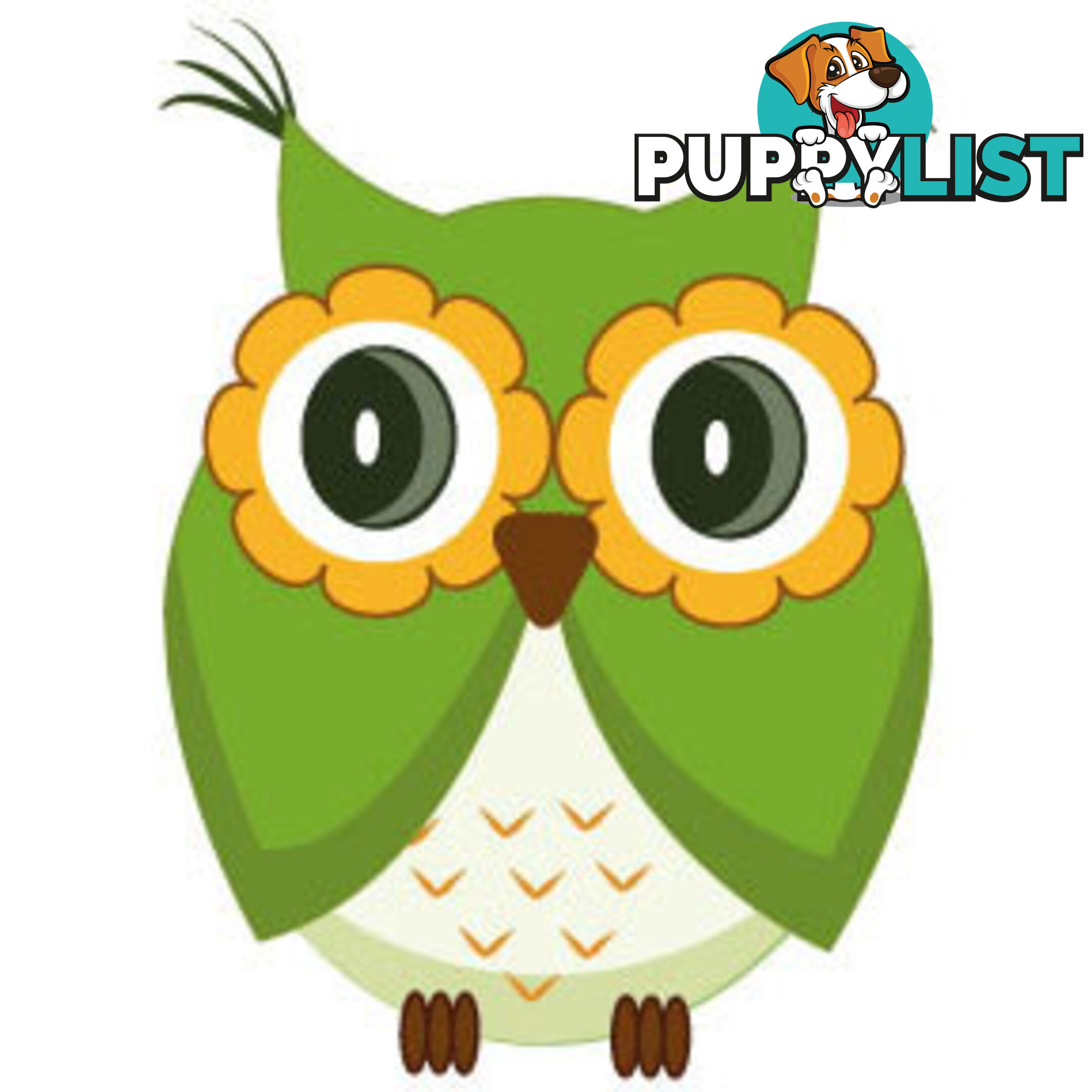 Cute green owl Wall Sticker - Totally Movable