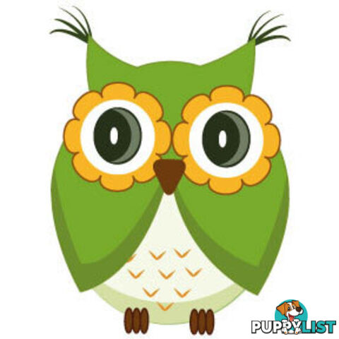 Cute green owl Wall Sticker - Totally Movable