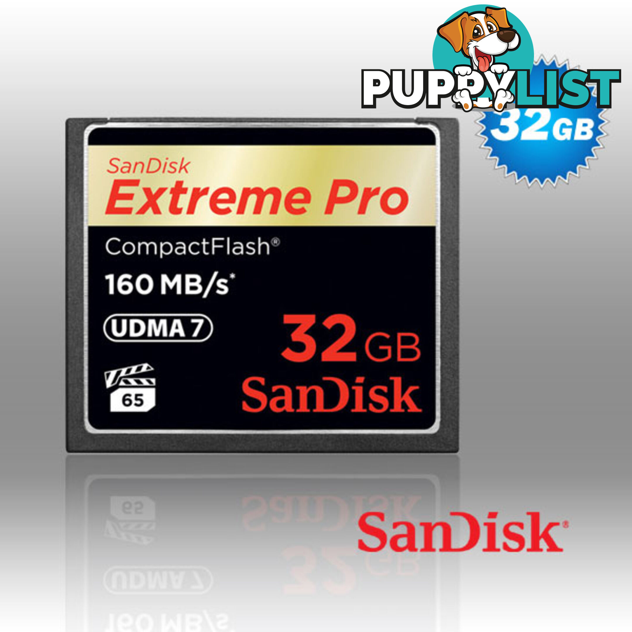 SanDisk Extreme Pro CFXP 32GB CompactFlash 160MB/s (SDCFXPS-032G)