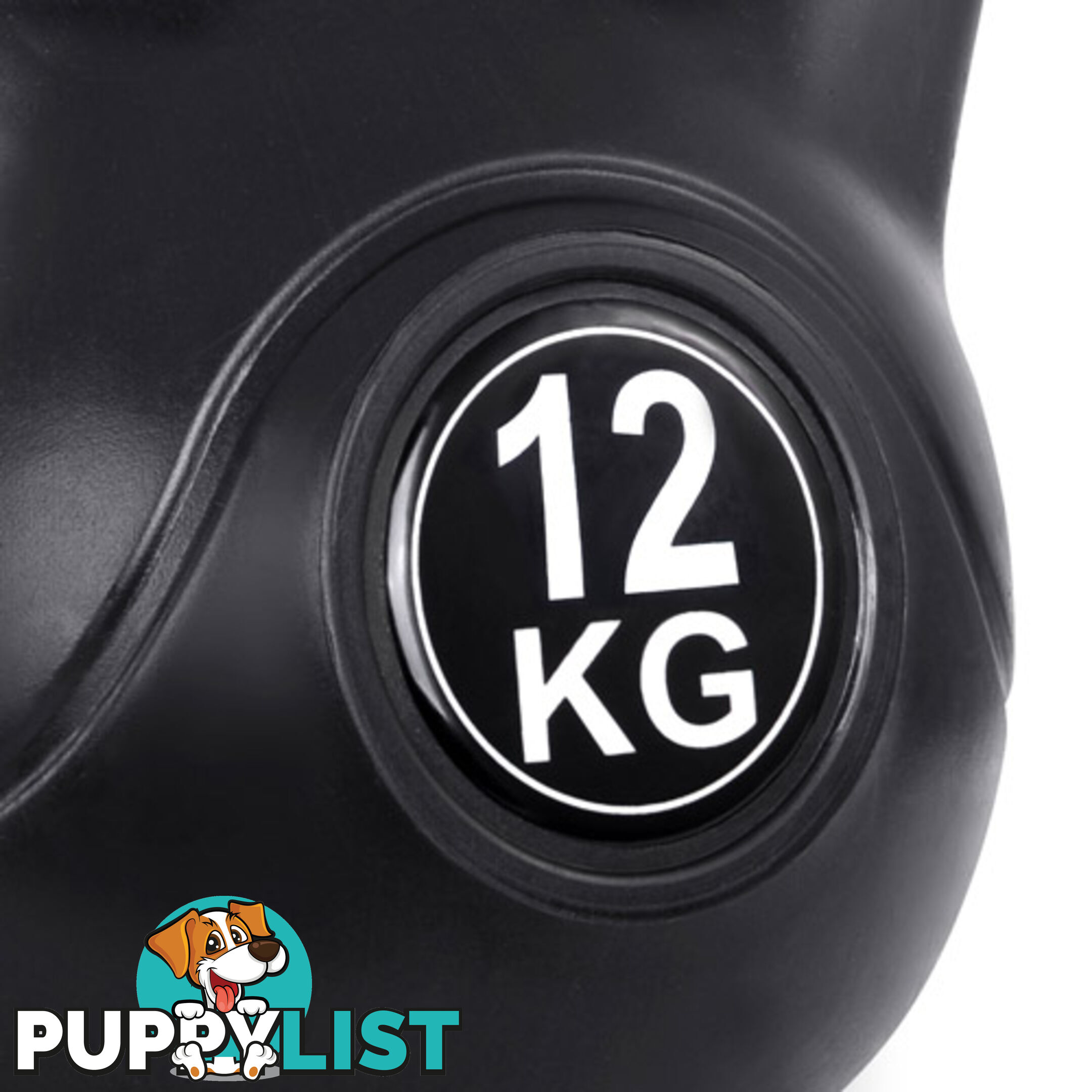 Kettlebells Fitness Exercise Kit 12kg