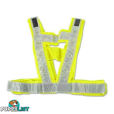 Solar Powered LED Vest