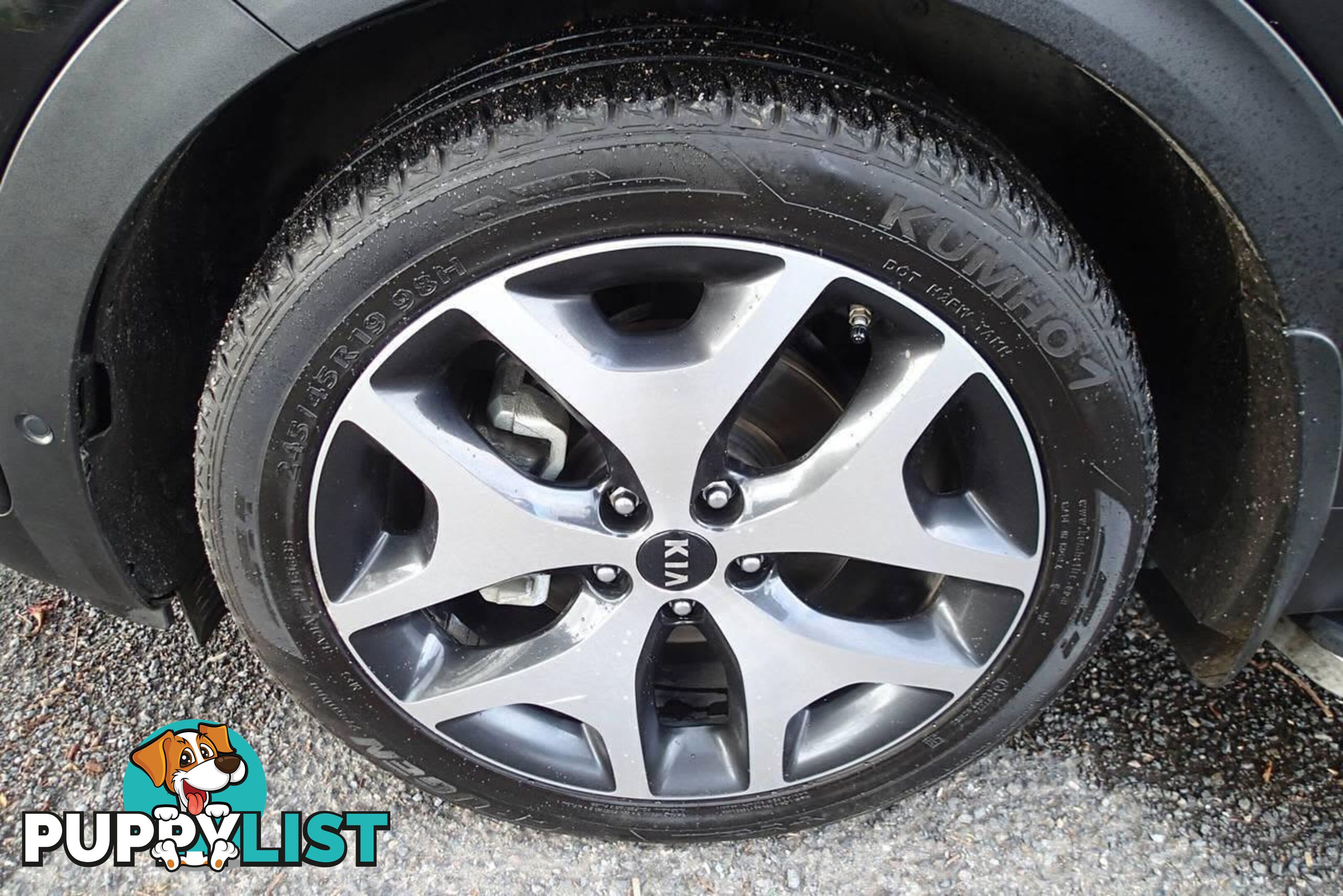 2017 KIA SPORTAGE GT-LINE (AWD) QL MY18 SUV, 4 DOORS, 5 SEATS