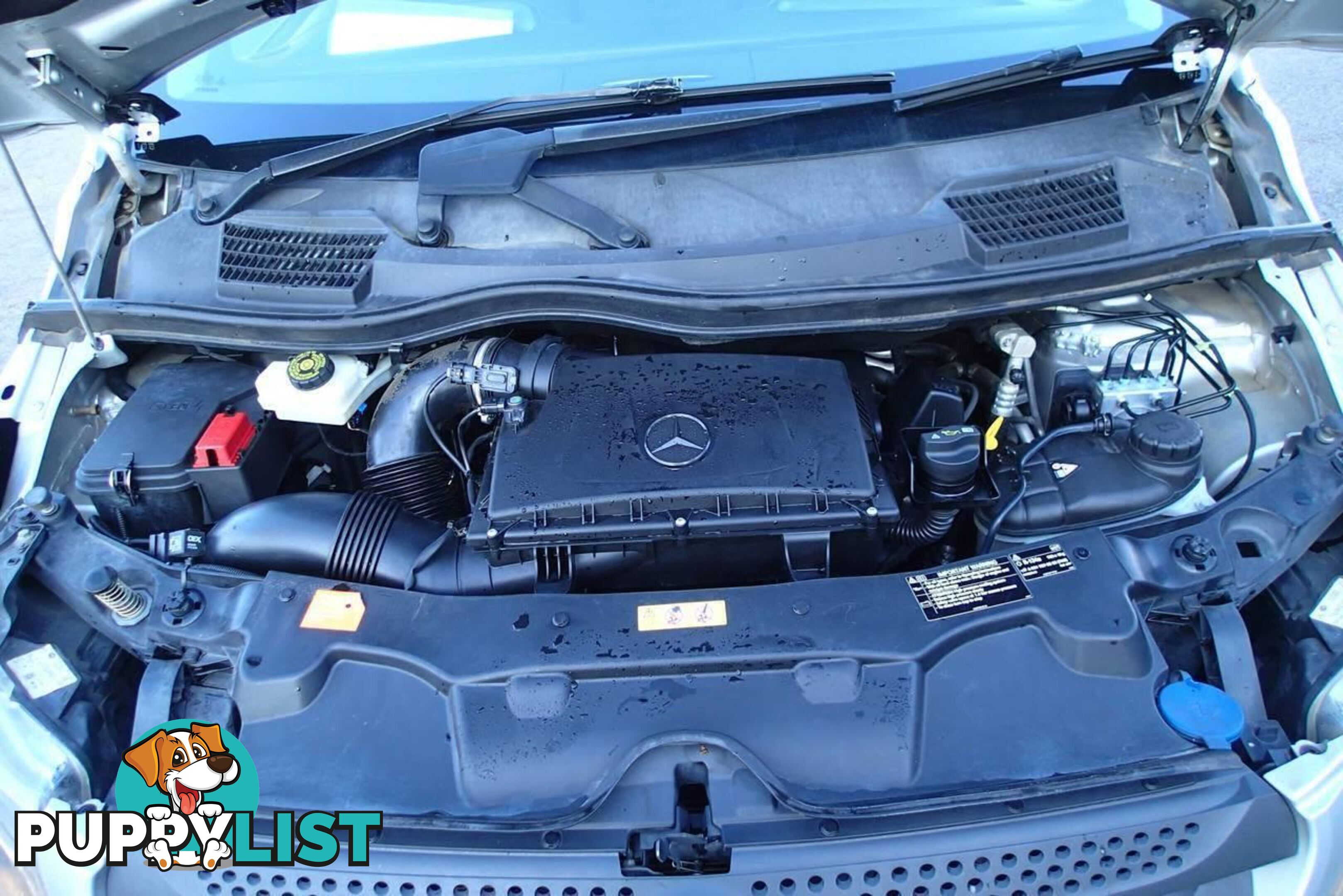 2015 MERCEDES-BENZ VALENTE 116 BLUETEC 447 WAGON, 4 DOORS, 8 SEATS