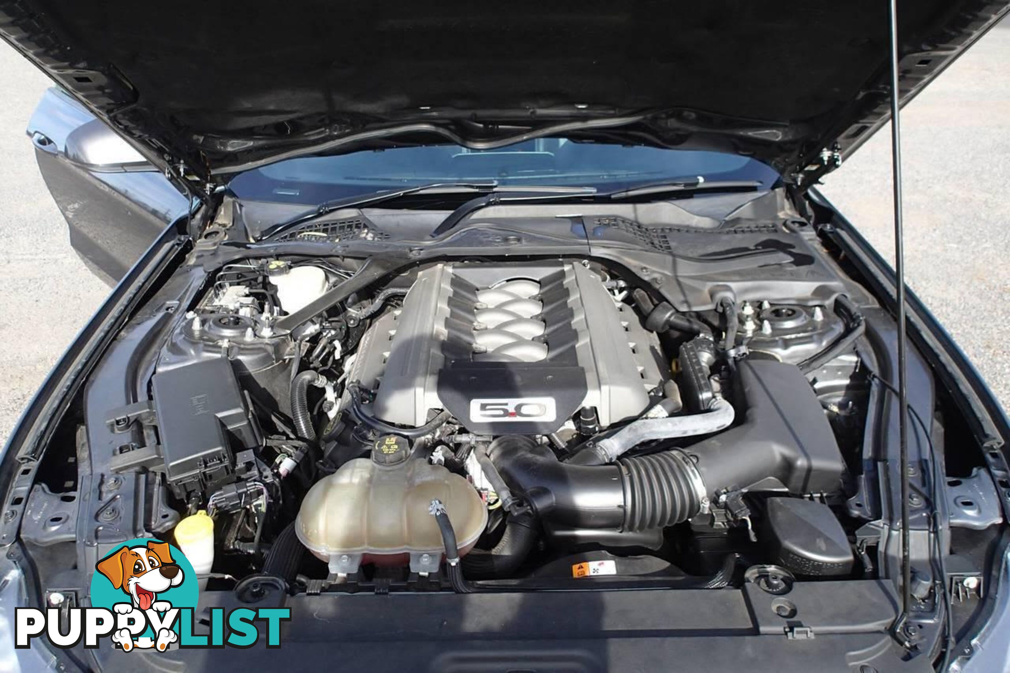 2017 FORD MUSTANG GT 5.0 V8 FM MY17 CONVERTIBLE, 2 DOORS, 4 SEATS