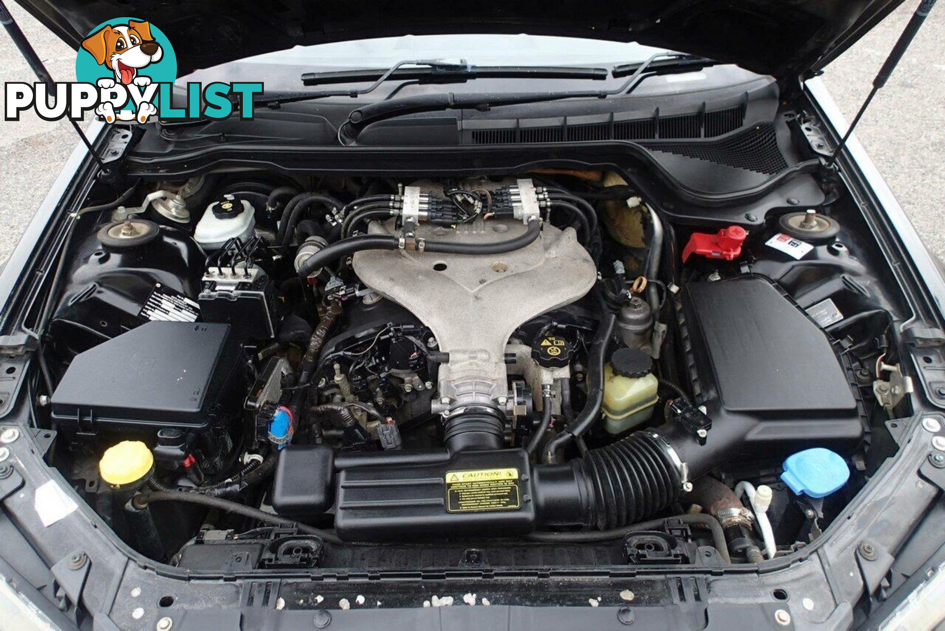 2008 HOLDEN COMMODORE OMEGA 60TH ANNIVERSARY VE MY09.5 SEDAN, 4 DOORS, 5 SEATS