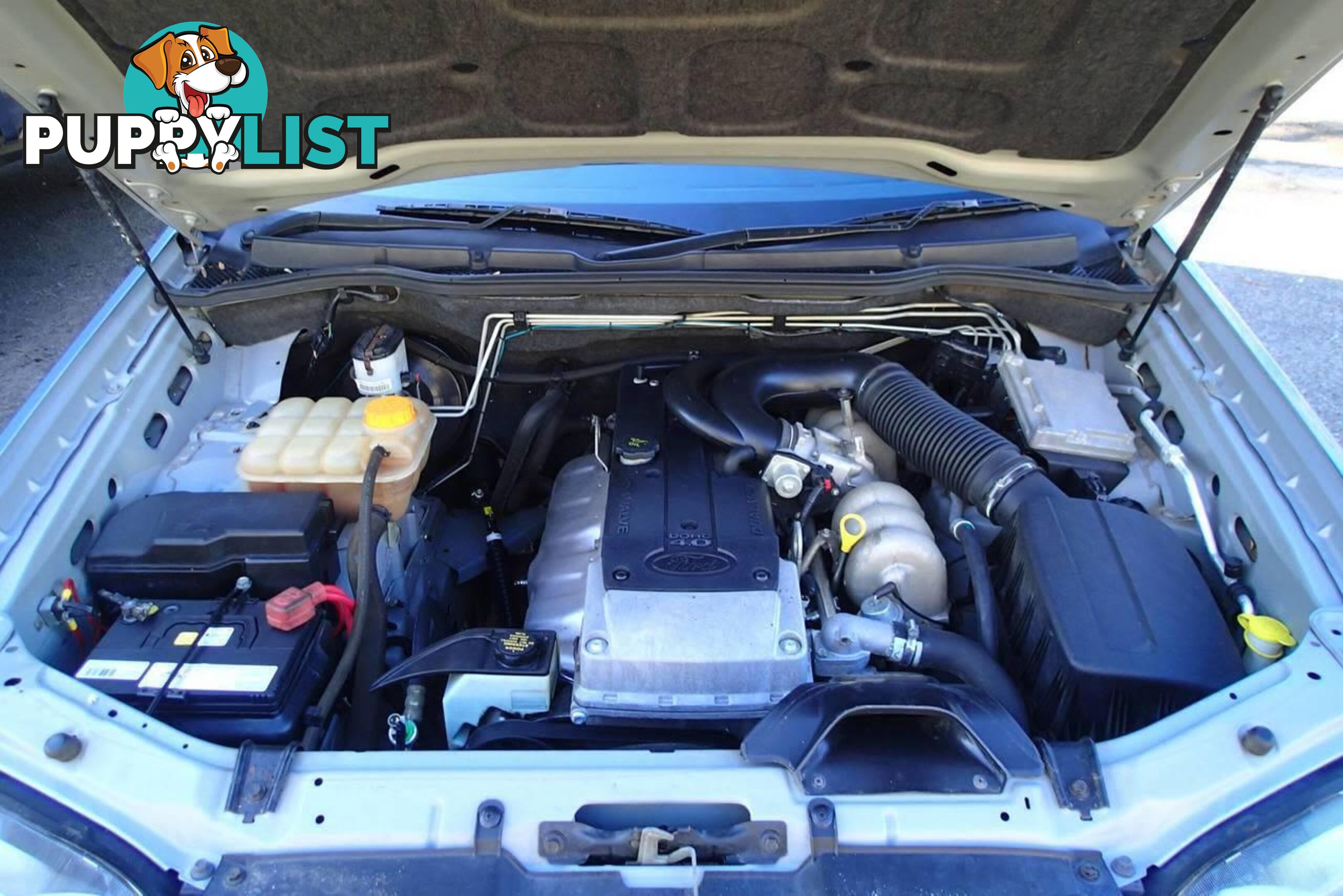 2008 FORD TERRITORY SR (RWD) SY SUV, 4 DOORS, 5 SEATS
