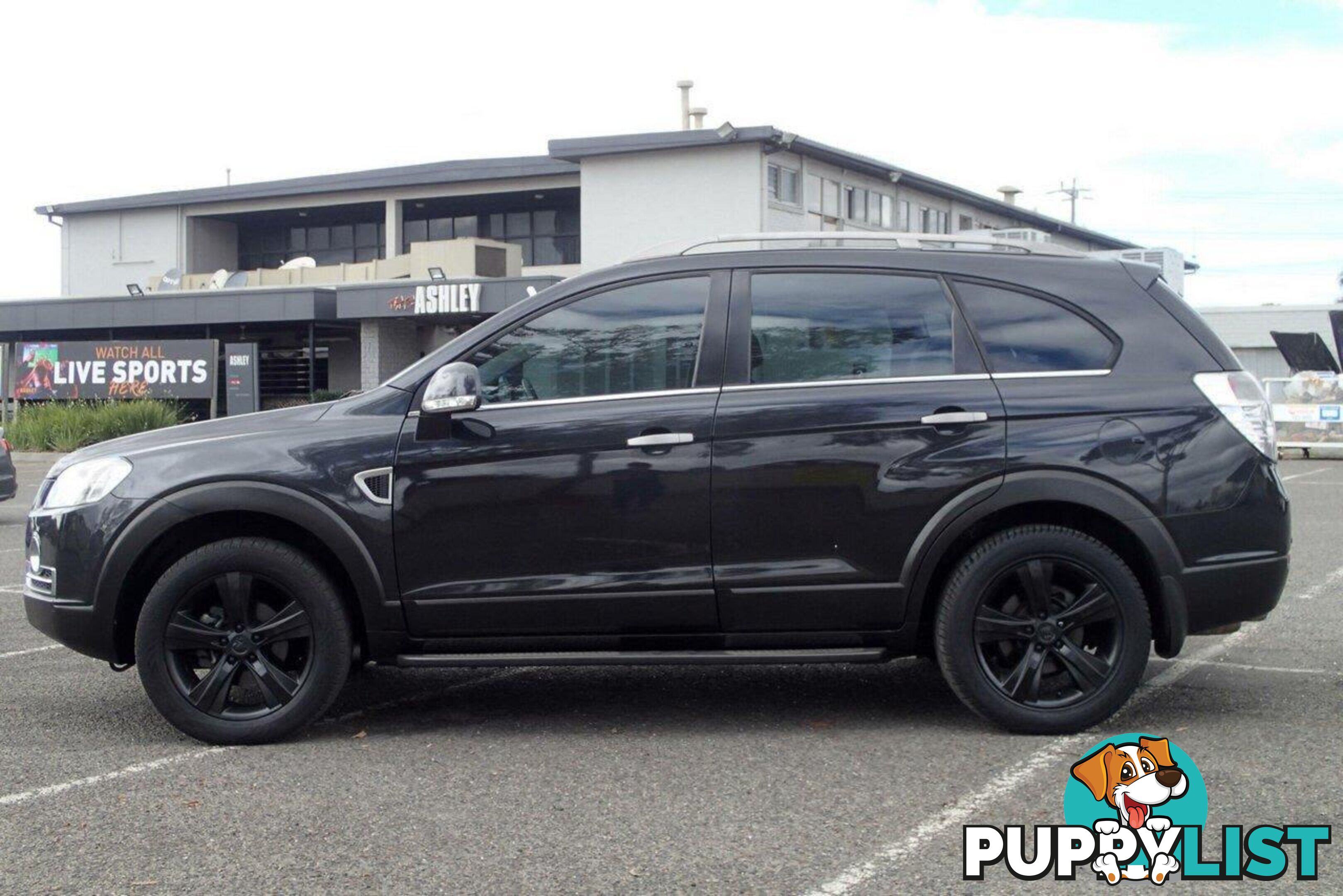 2008 HOLDEN CAPTIVA LX 60TH ANNIVERSARY (4X4) CG MY08 SUV, 4 DOORS, 7 SEATS