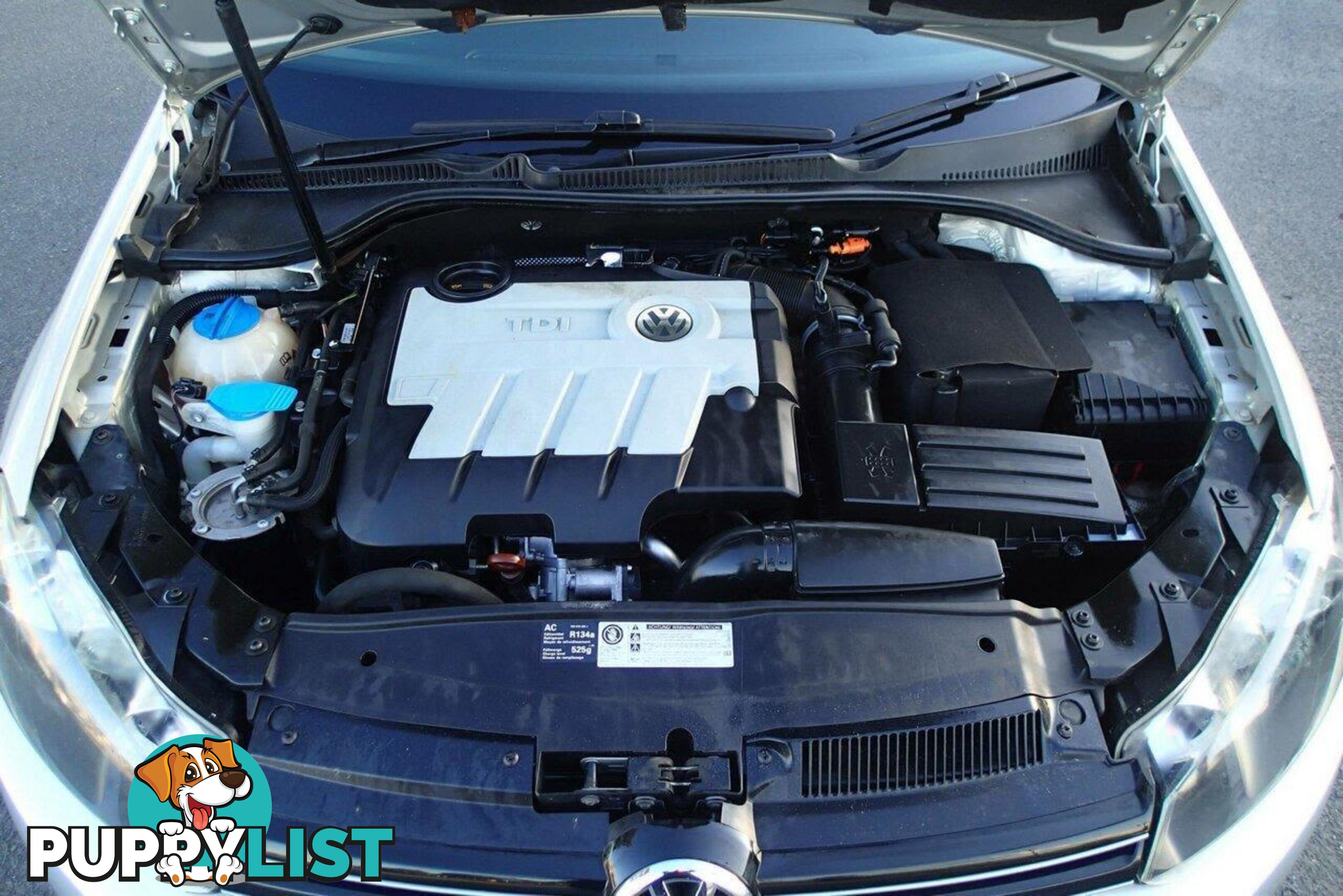 2009 VOLKSWAGEN GOLF 103 TDI COMFORTLINE 1K 6TH GEN HATCH, 5 DOORS, 5 SEATS