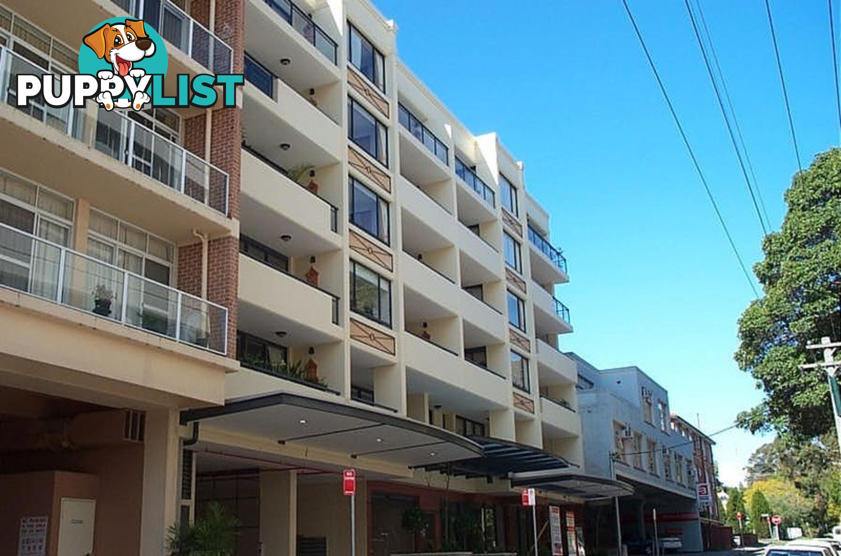 102 31 Bertram Street CHATSWOOD NSW 2067