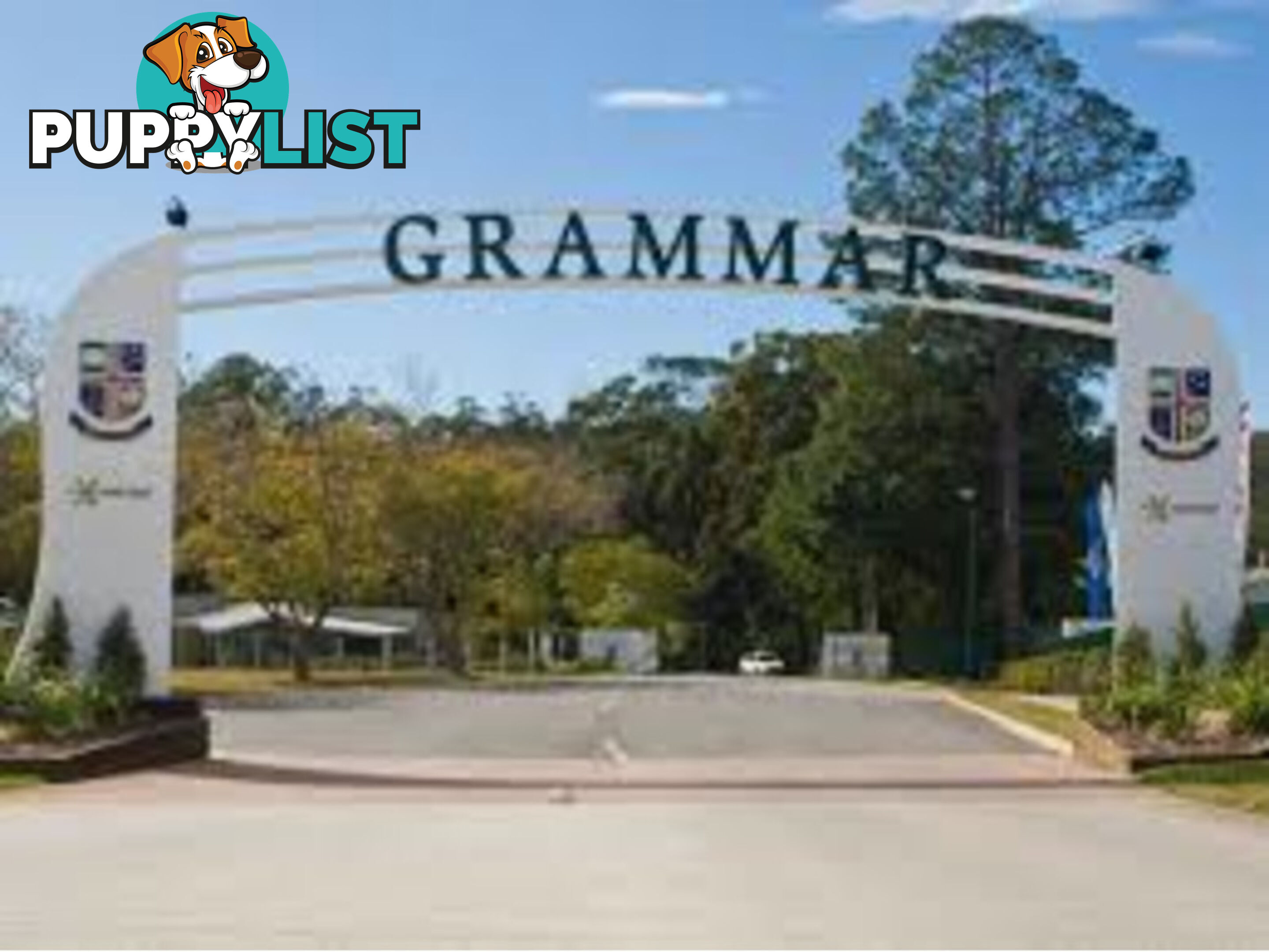 212 Mons School Road Buderim QLD 4556