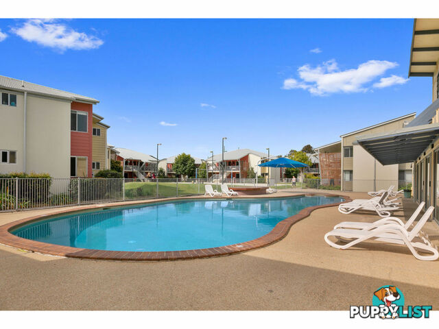 59 8 Varsityview Court Sippy Downs QLD 4556