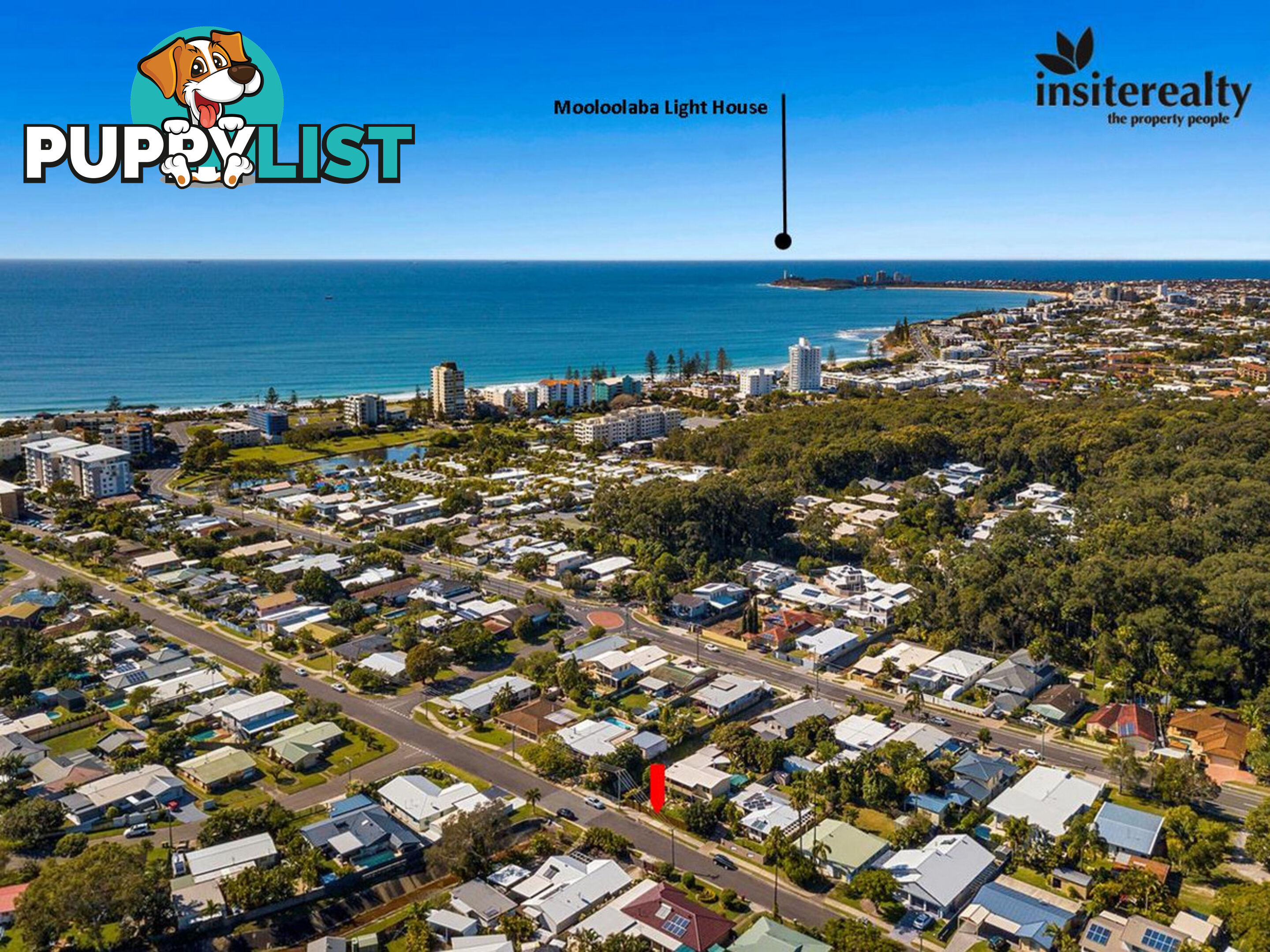 49 Surf Road Alexandra Headland QLD 4572