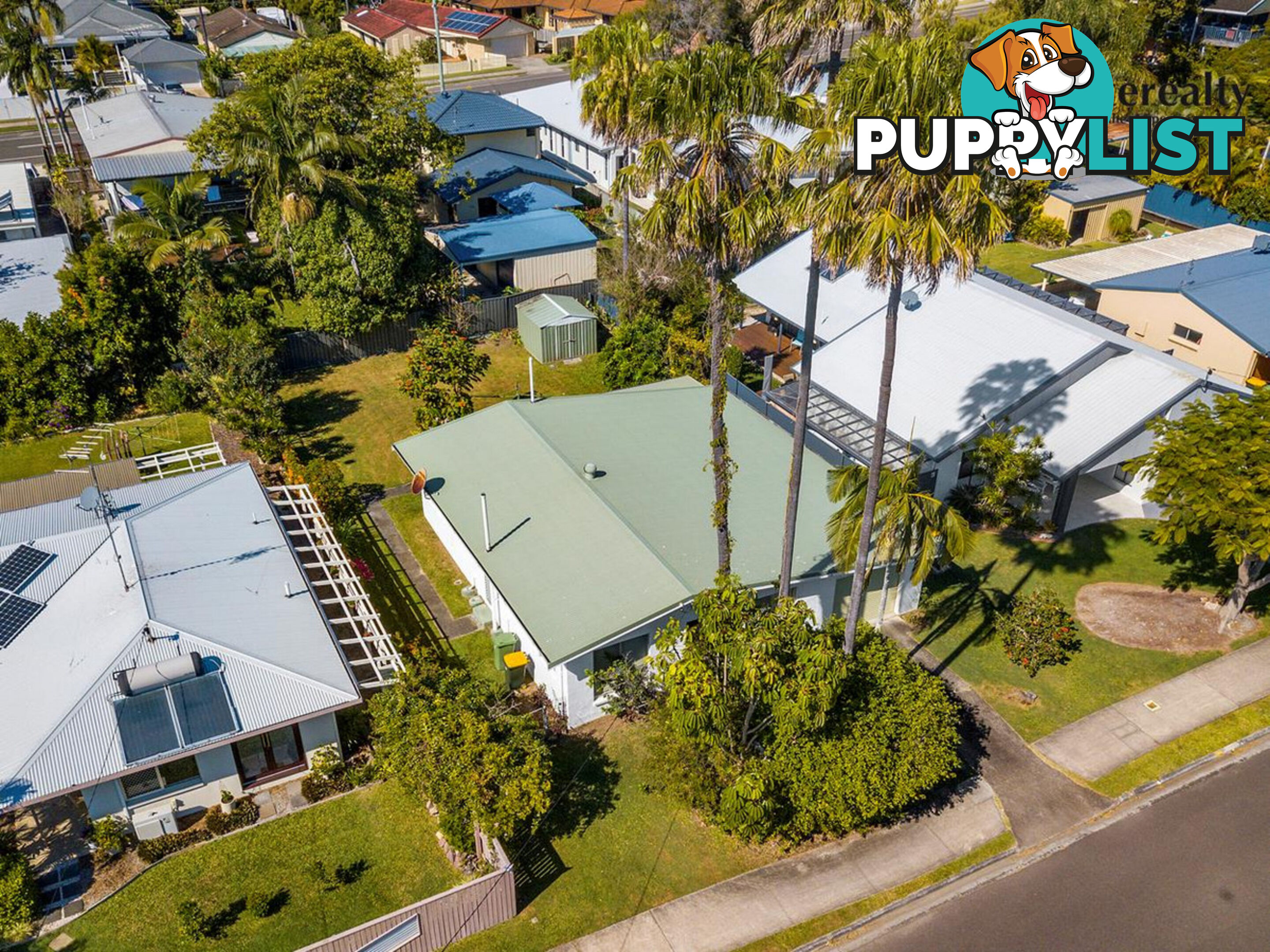 49 Surf Road Alexandra Headland QLD 4572