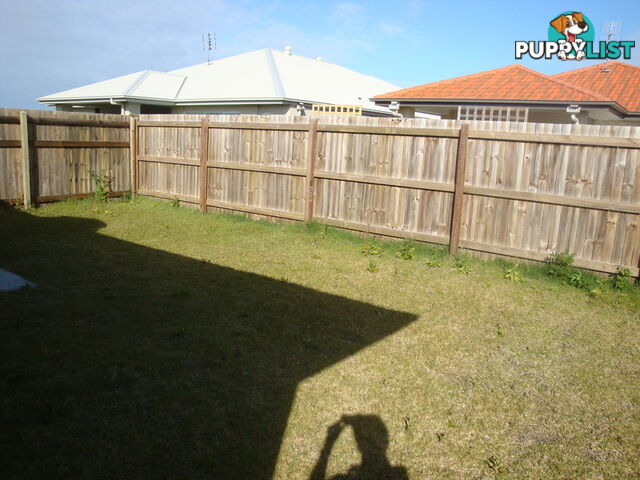 6 Wake Court Birtinya QLD 4575