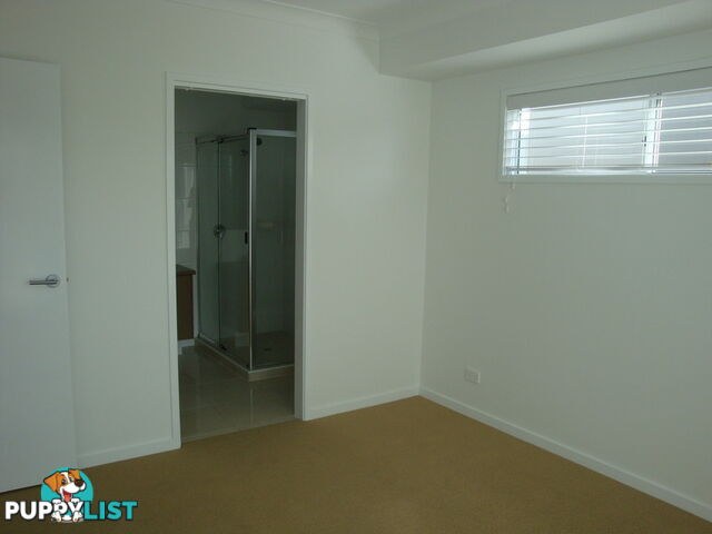 6 Wake Court Birtinya QLD 4575