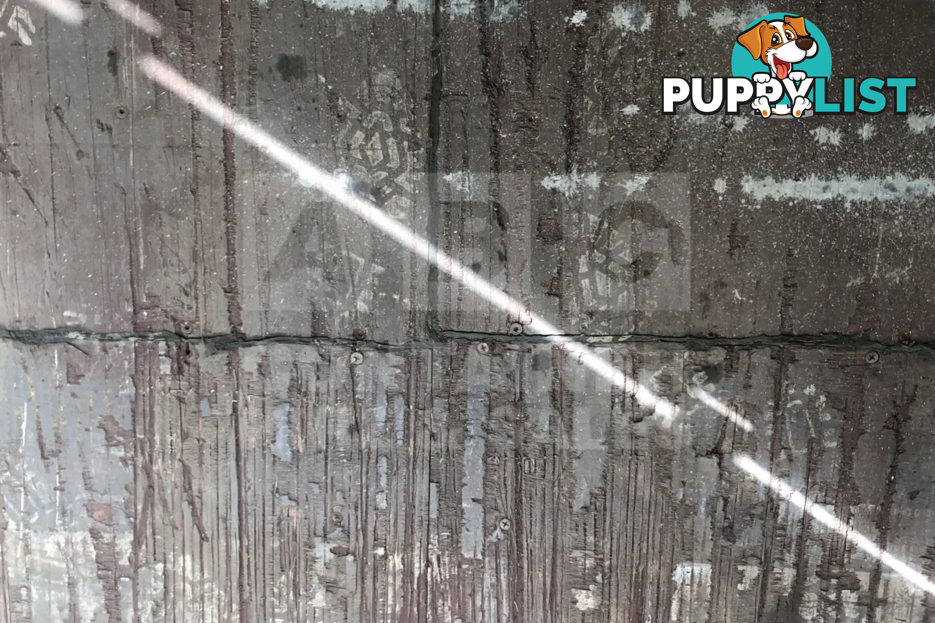 20' STANDARD HEIGHT SHIPPING CONTAINER - in Brisbane