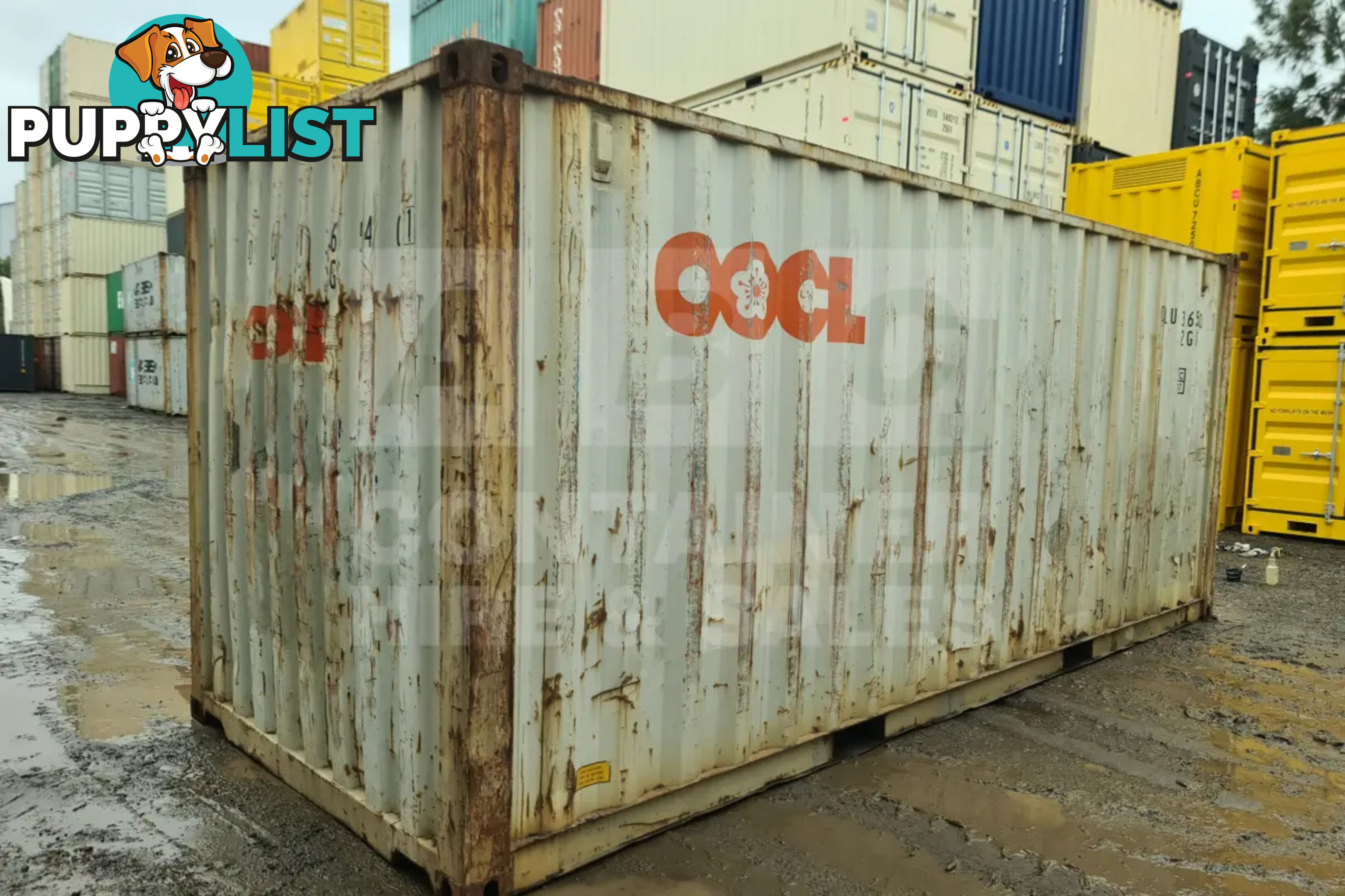 20' STANDARD HEIGHT SHIPPING CONTAINER