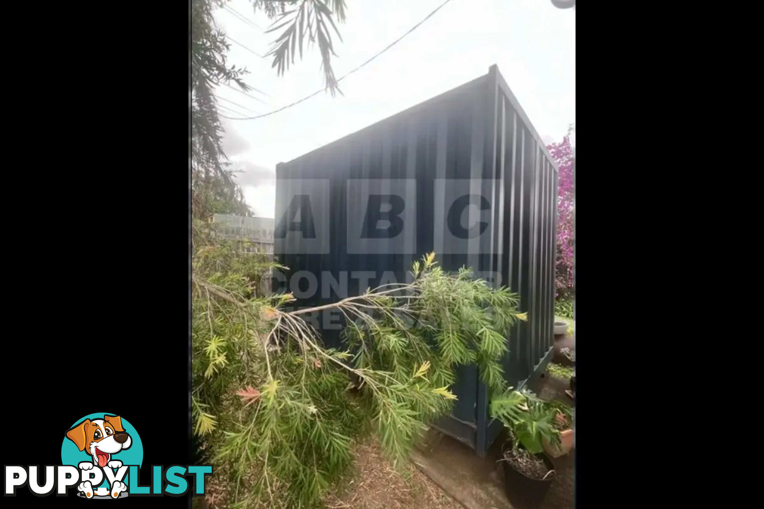 10' STANDARD HEIGHT SHIPPING CONTAINER (CONTAINER DOOR END)