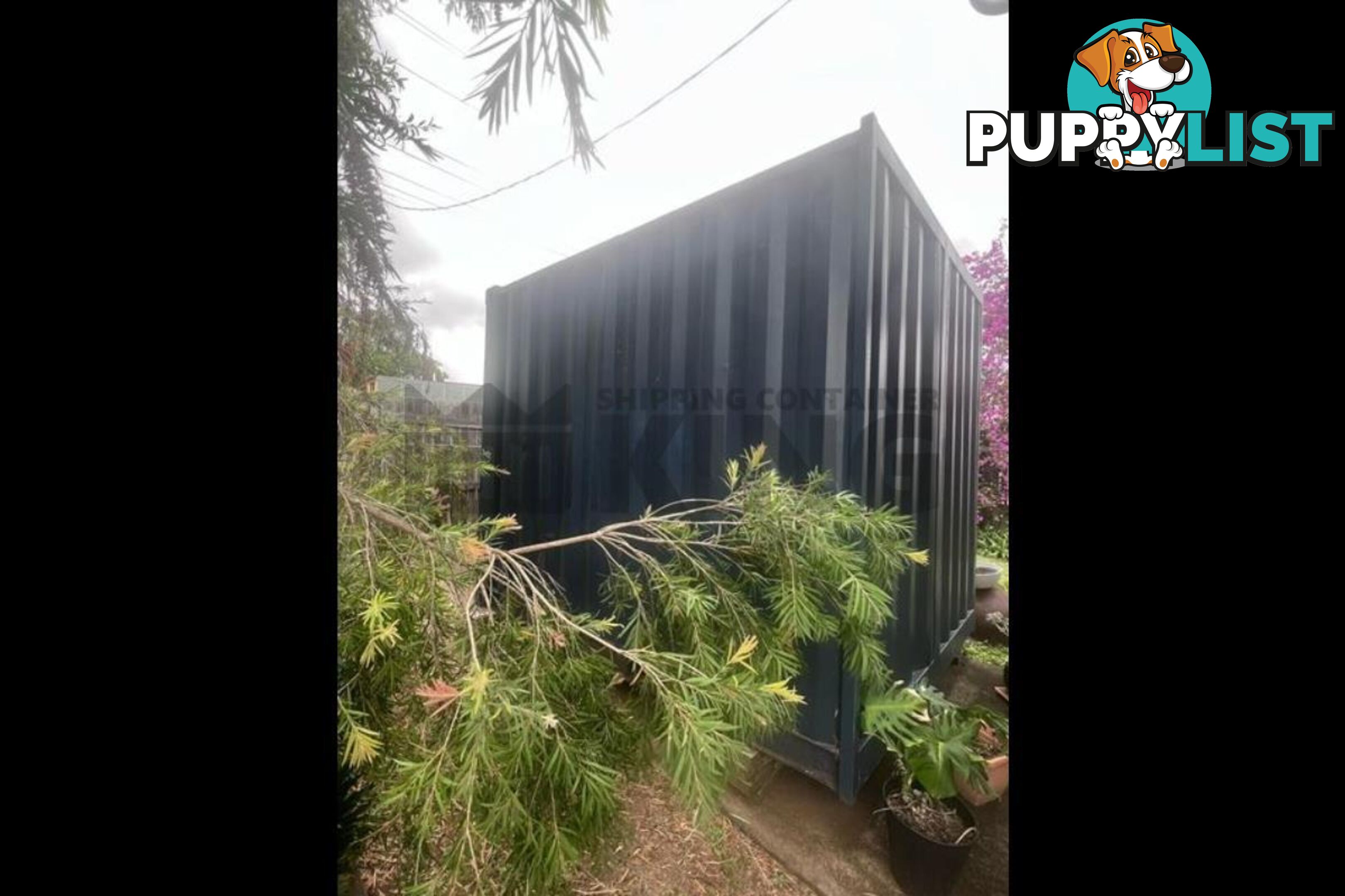 10' STANDARD HEIGHT SHIPPING CONTAINER (CONTAINER DOOR END)