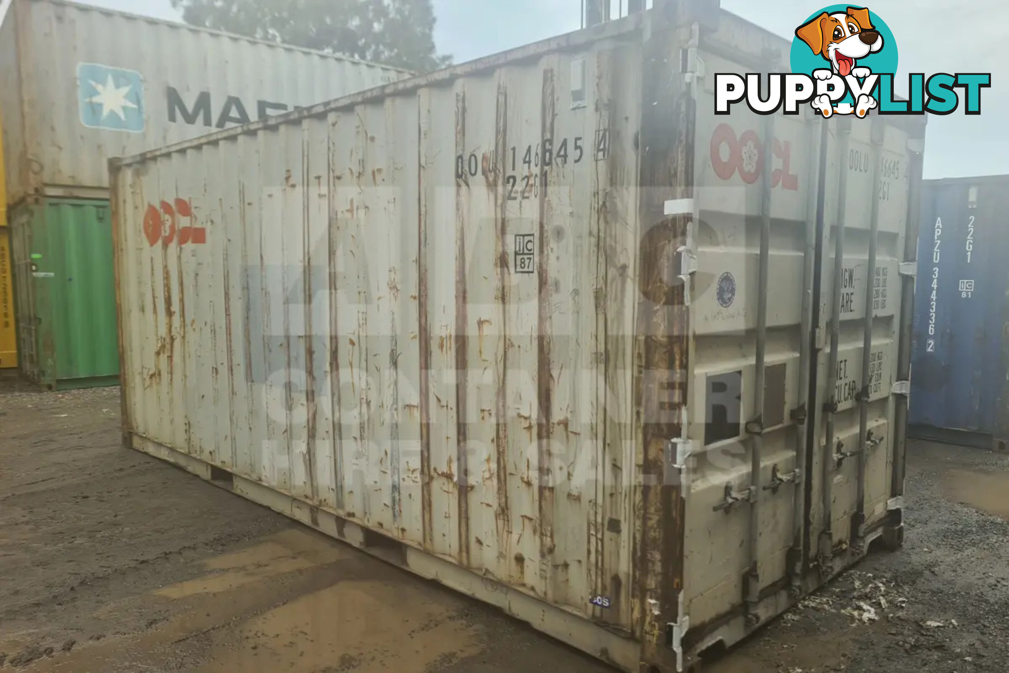 20' STANDARD HEIGHT SHIPPING CONTAINER