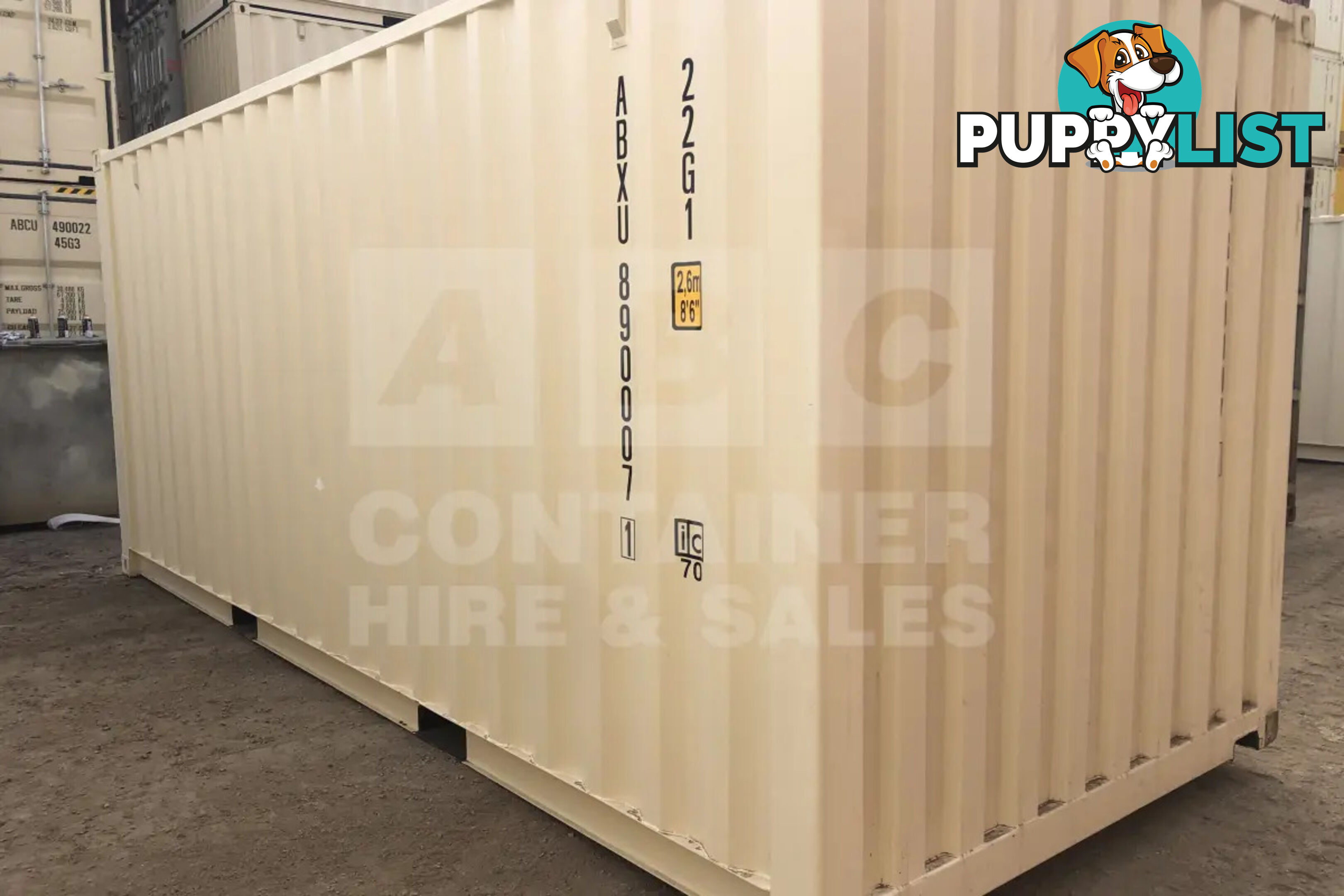 20' STANDARD HEIGHT SHIPPING CONTAINER (STEEL FLOOR) - in Chinchilla