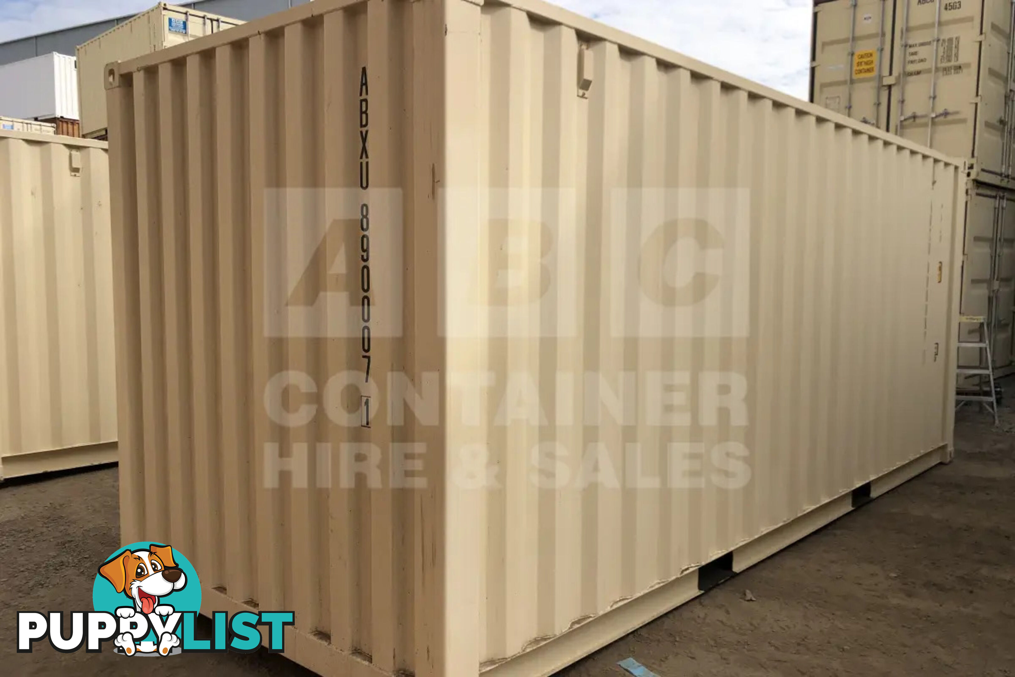 20' STANDARD HEIGHT SHIPPING CONTAINER (STEEL FLOOR) - in Chinchilla