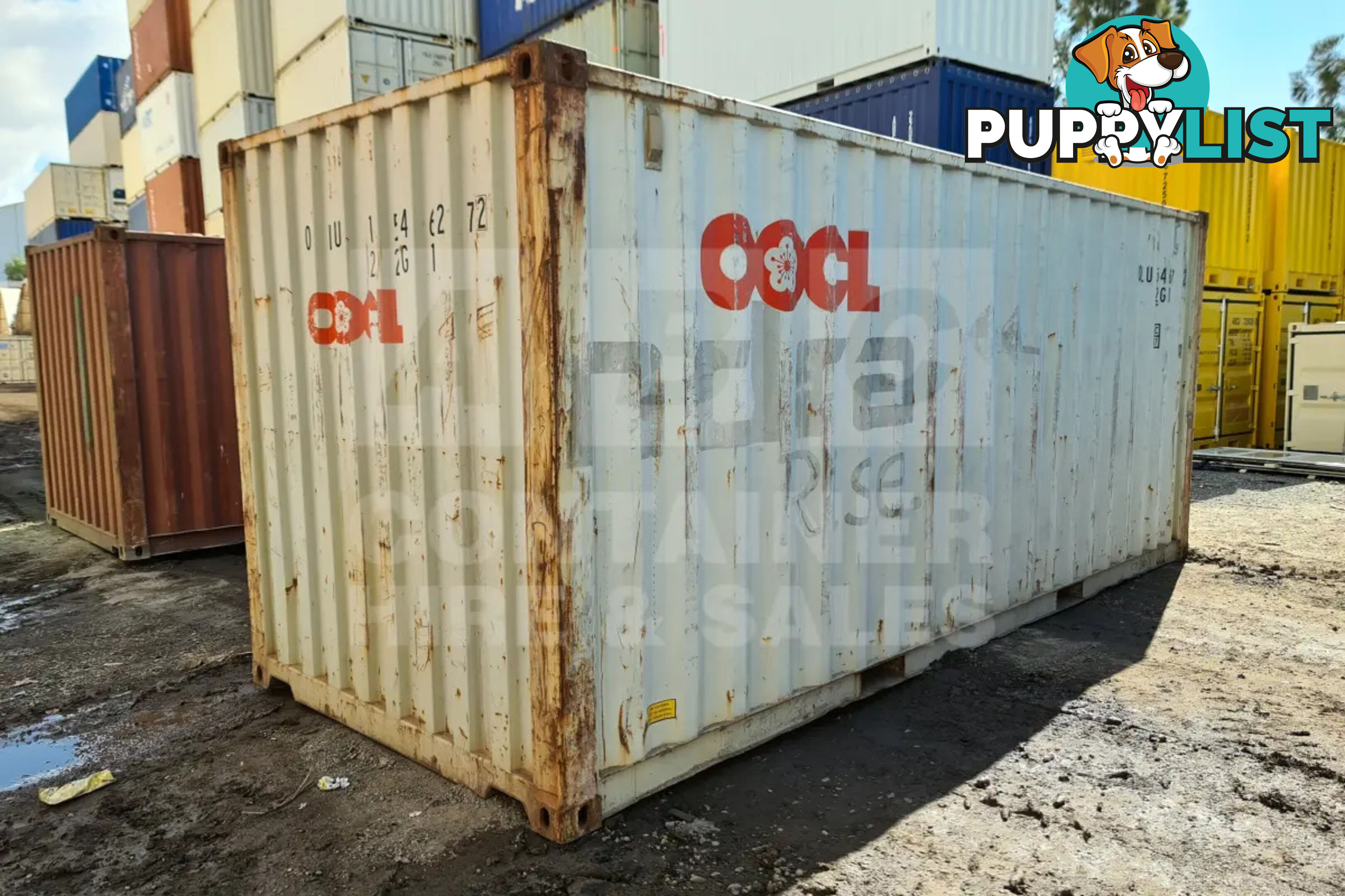 20' STANDARD HEIGHT SHIPPING CONTAINER