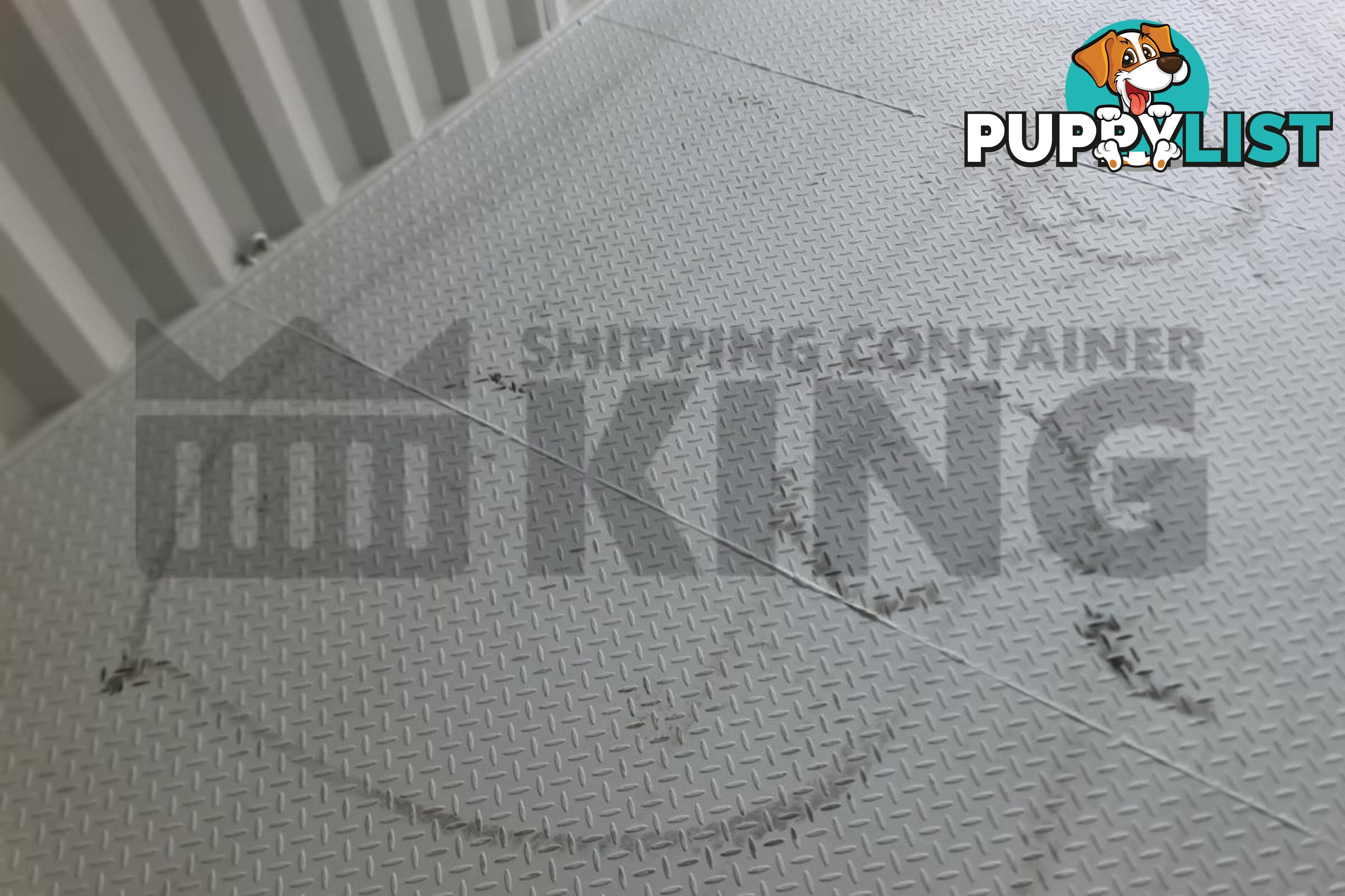 20' HIGH CUBE SHIPPING CONTAINER (STEEL FLOOR) - in Brisbane