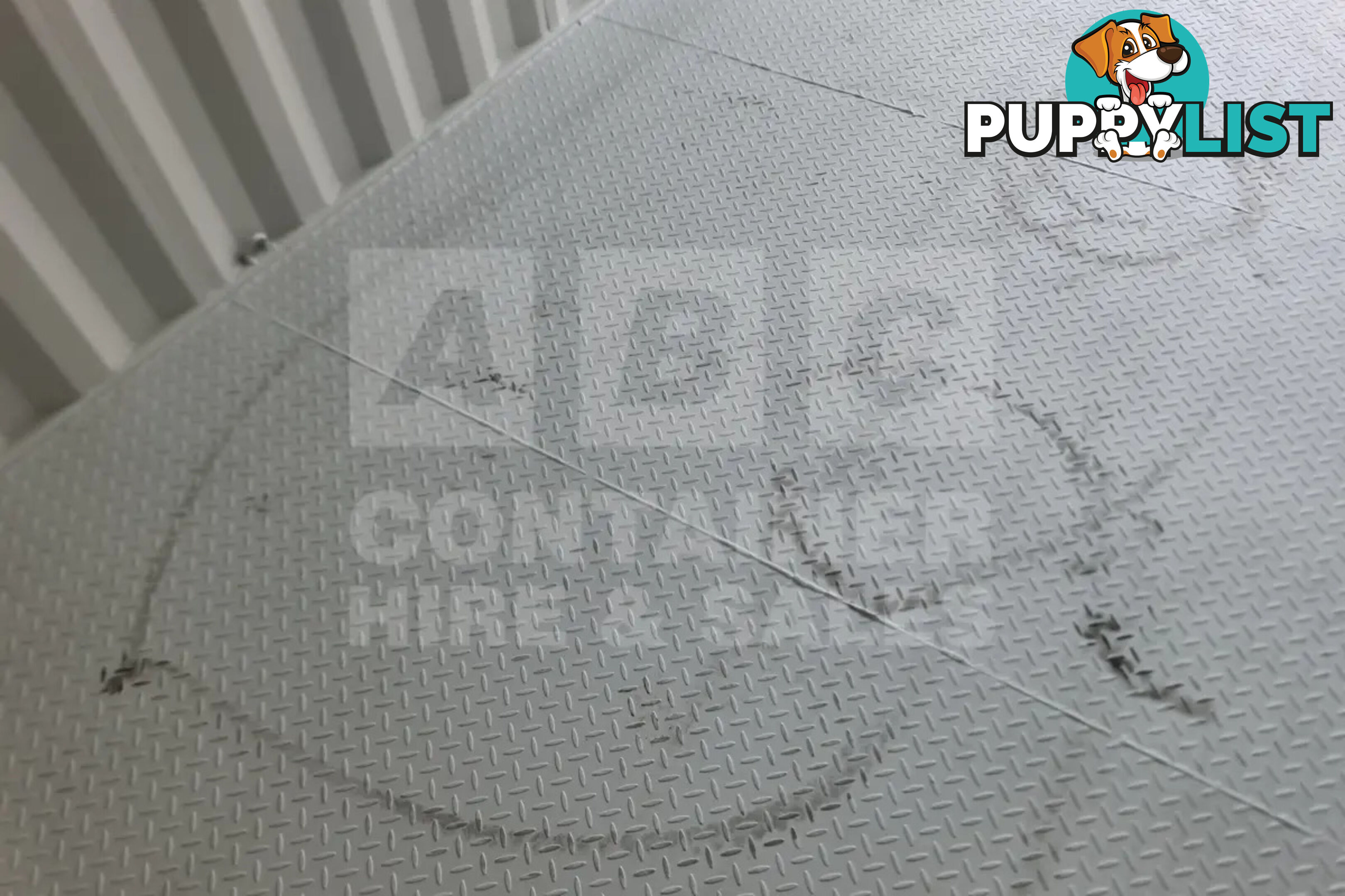 20' HIGH CUBE SHIPPING CONTAINER (STEEL FLOOR)