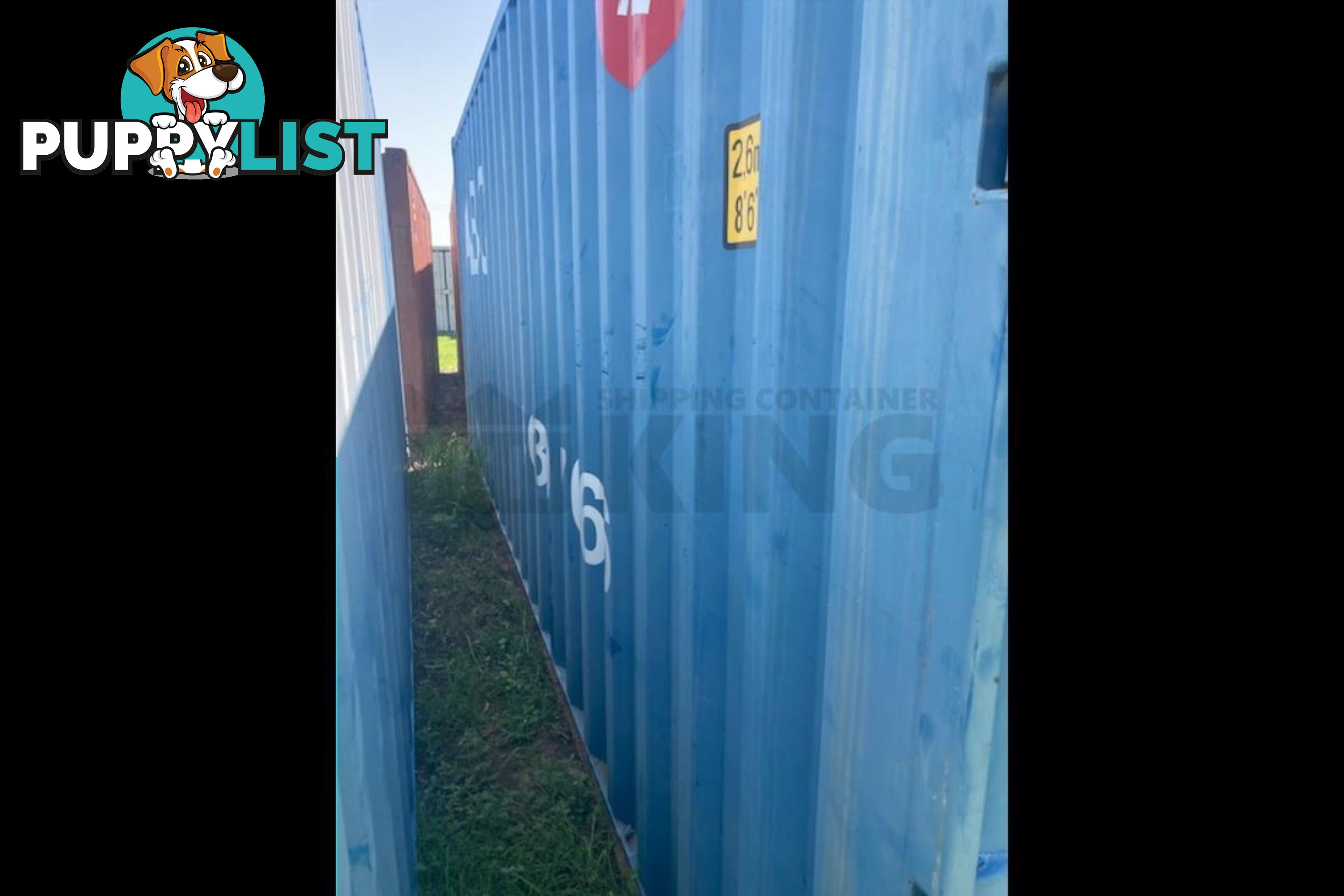 20' STANDARD HEIGHT SHIPPING CONTAINER - in Chinchilla