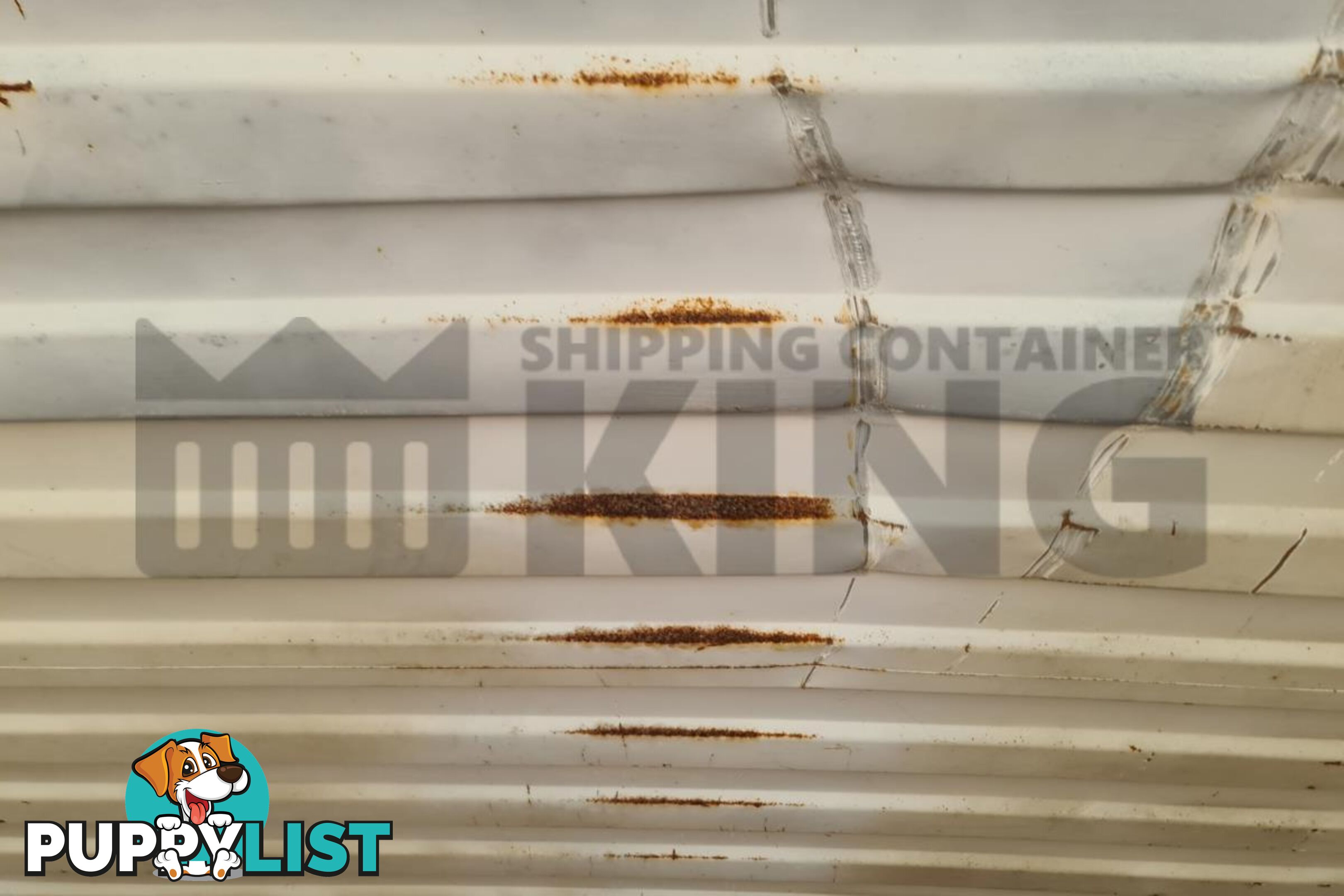 20' STANDARD HEIGHT SHIPPING CONTAINER