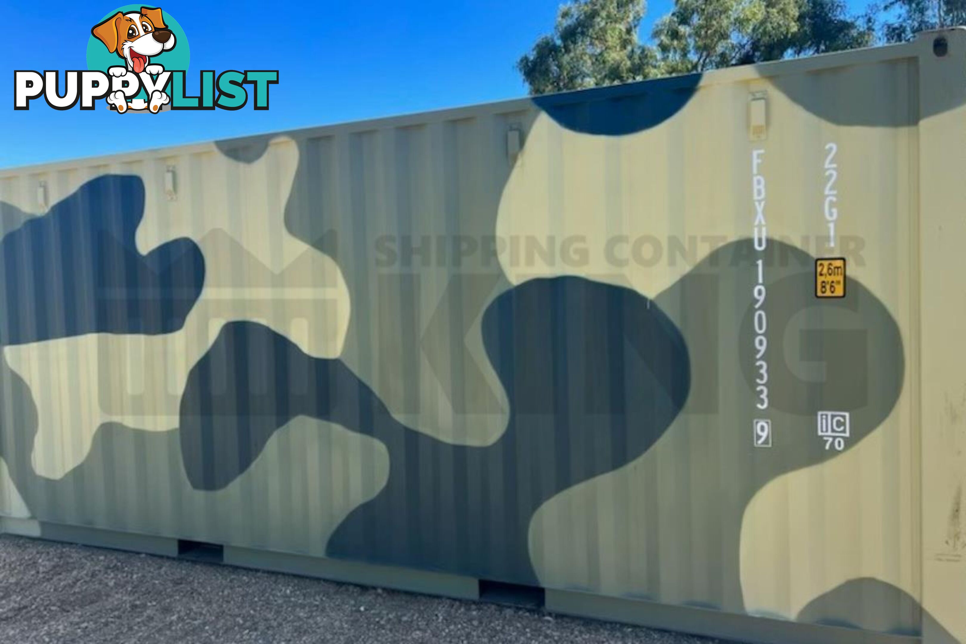 20' STANDARD HEIGHT SHIPPING CONTAINER (CAMOUFLAGE) - in Rockhampton