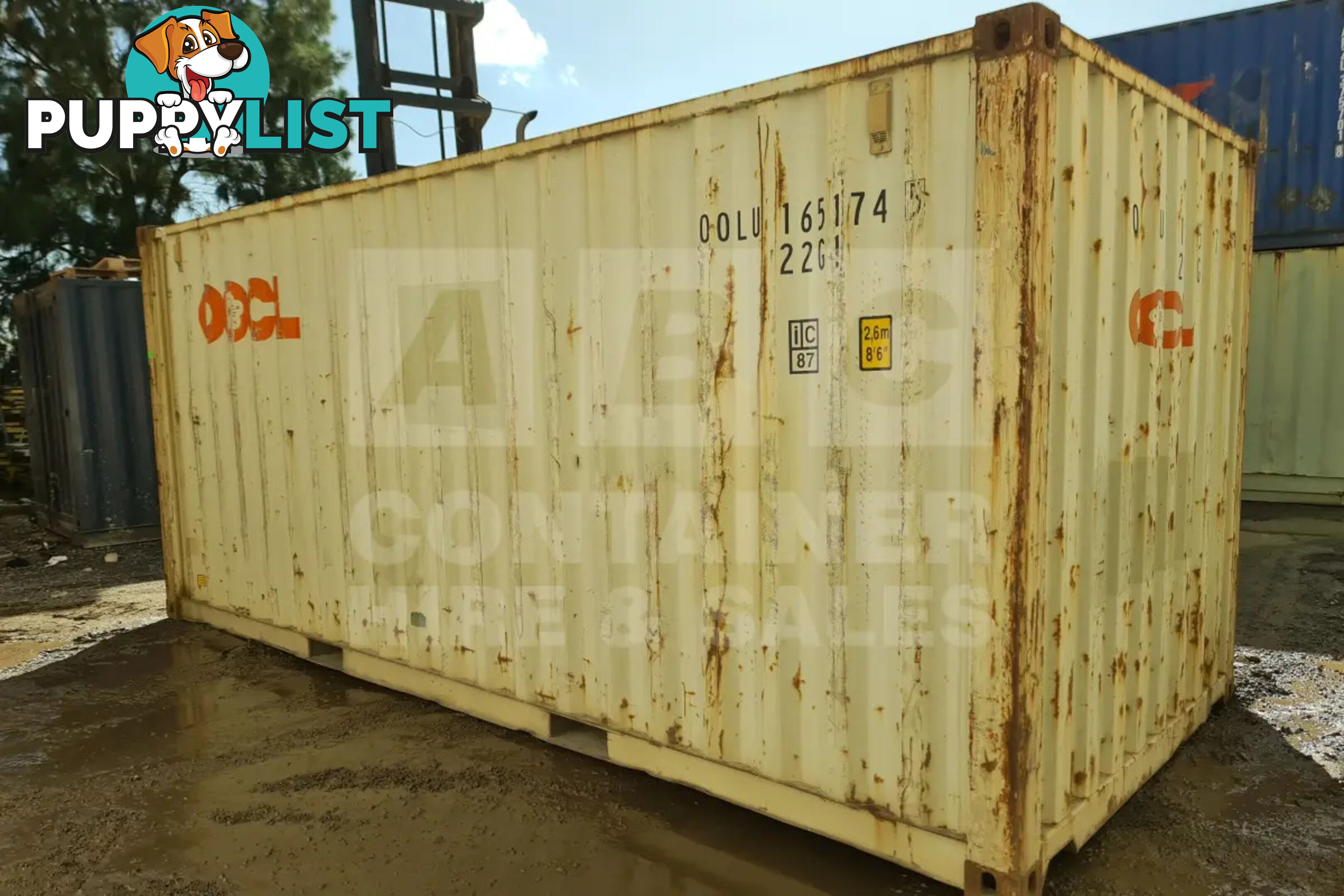20' STANDARD HEIGHT SHIPPING CONTAINER