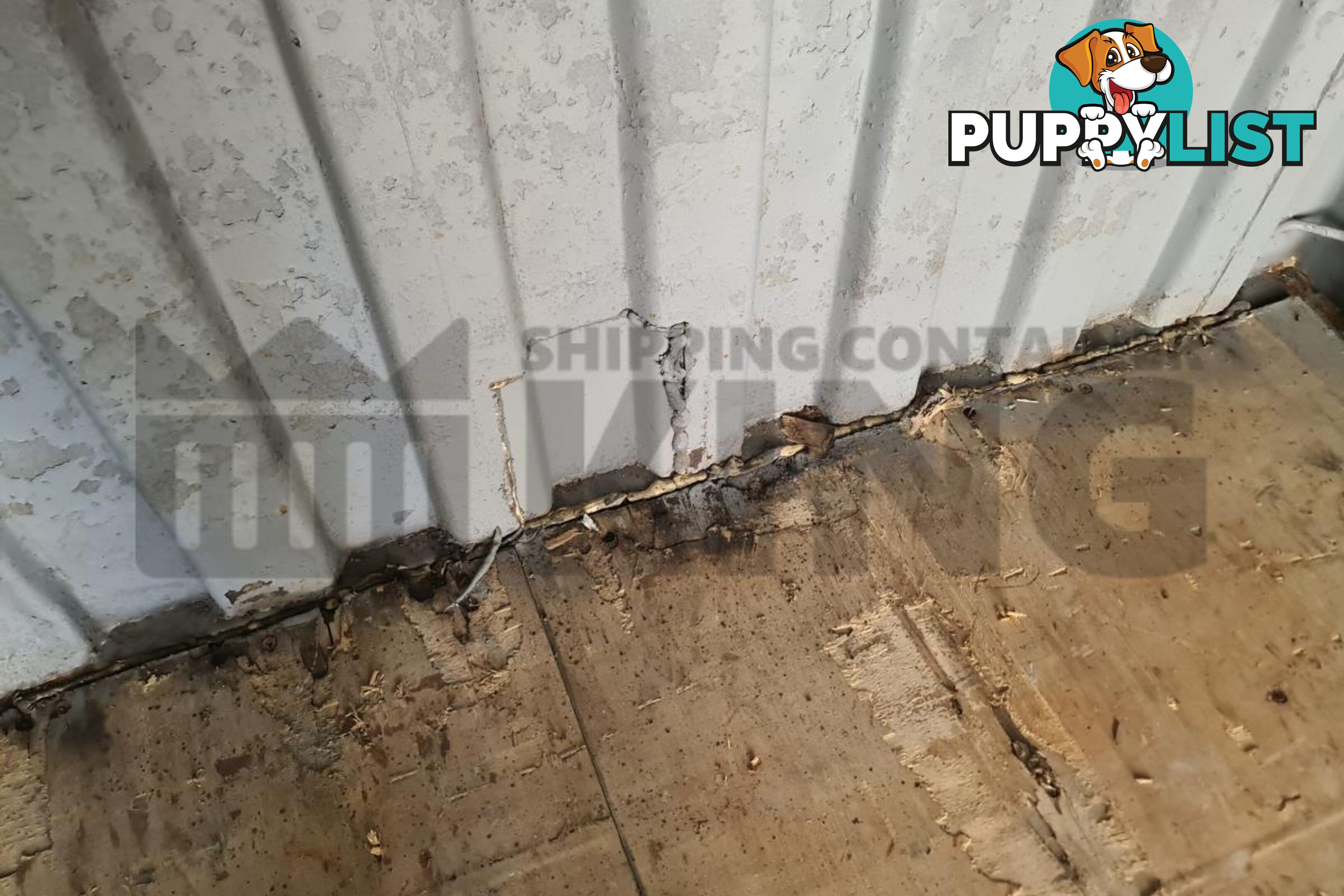 20' STANDARD HEIGHT SHIPPING CONTAINER