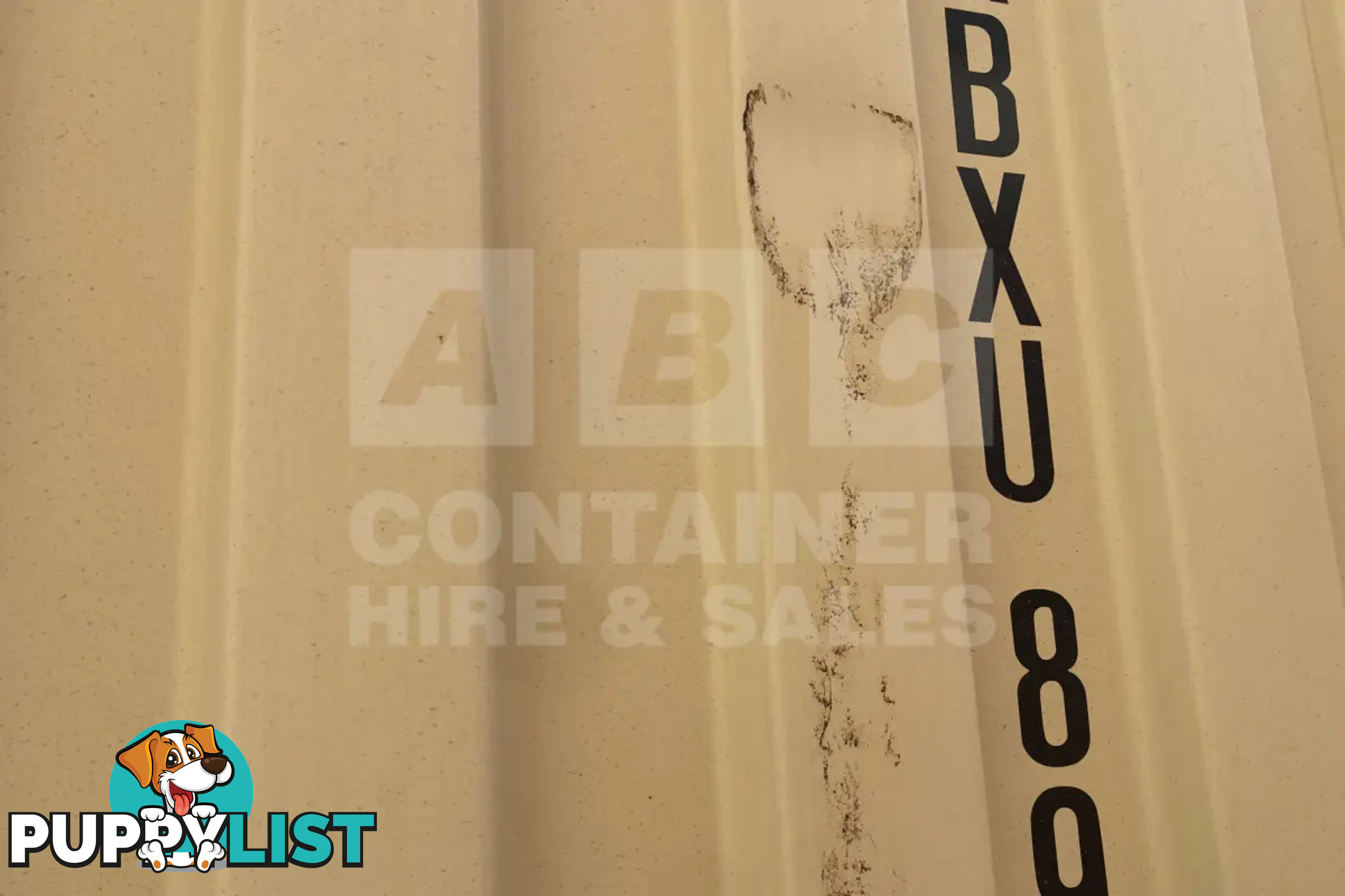 20' STANDARD HEIGHT SHIPPING CONTAINER (STEEL FLOOR)