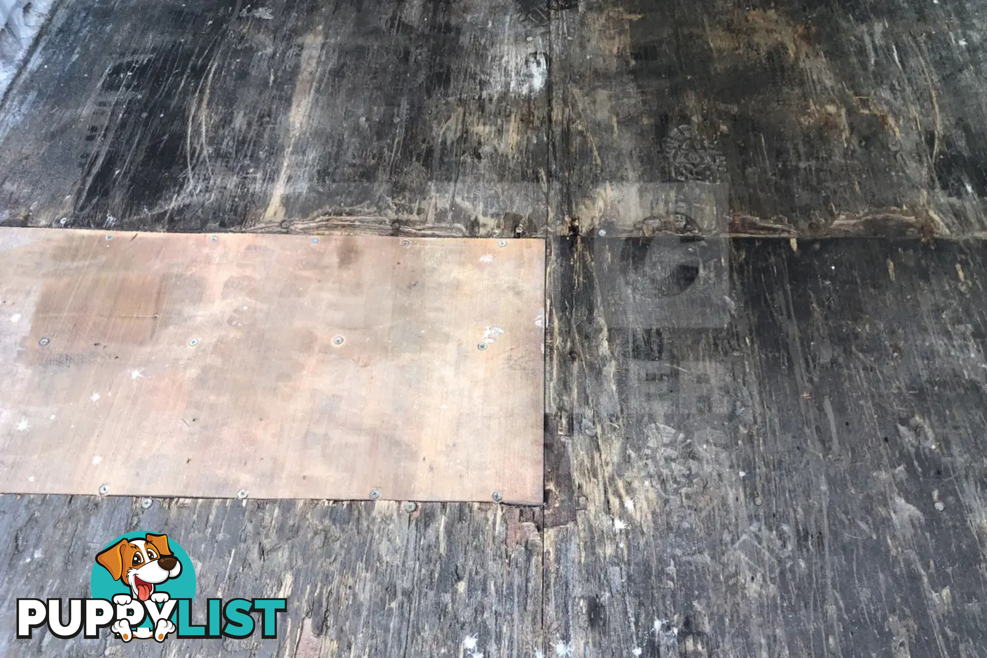 20' STANDARD HEIGHT SHIPPING CONTAINER - in Brisbane