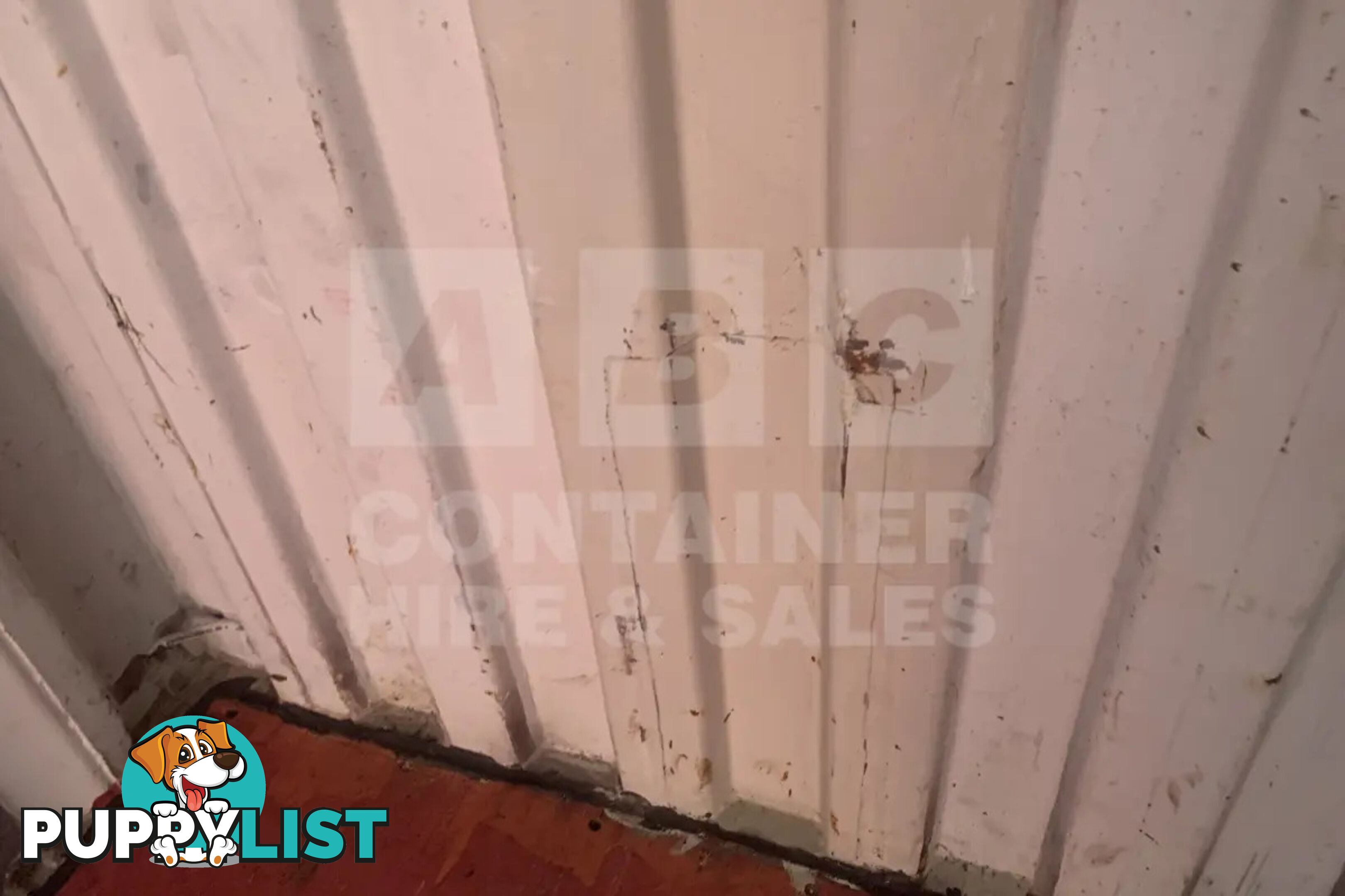 20' STANDARD HEIGHT SHIPPING CONTAINER - in Chinchilla