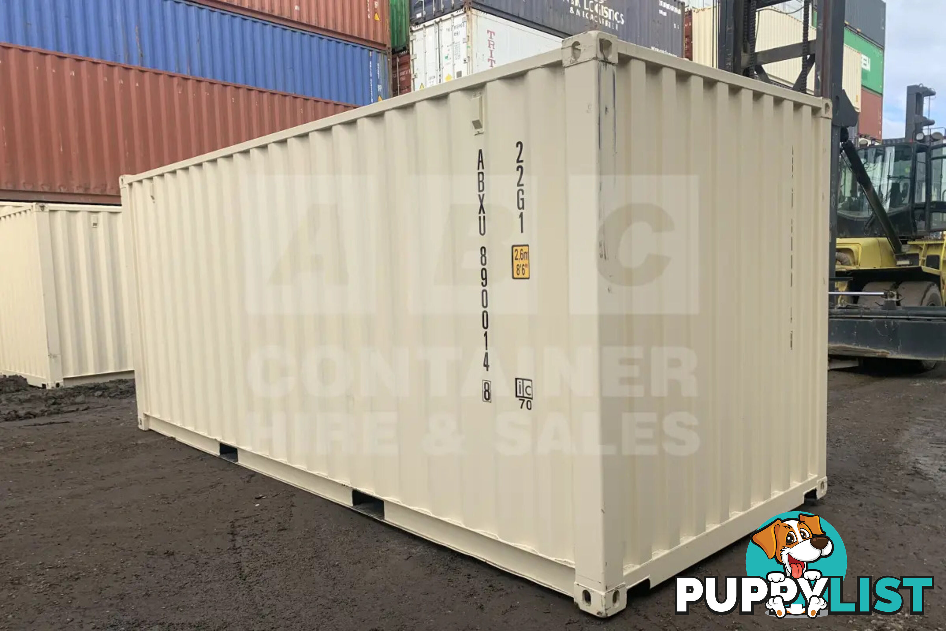 20' STANDARD HEIGHT SHIPPING CONTAINER (STEEL FLOOR)