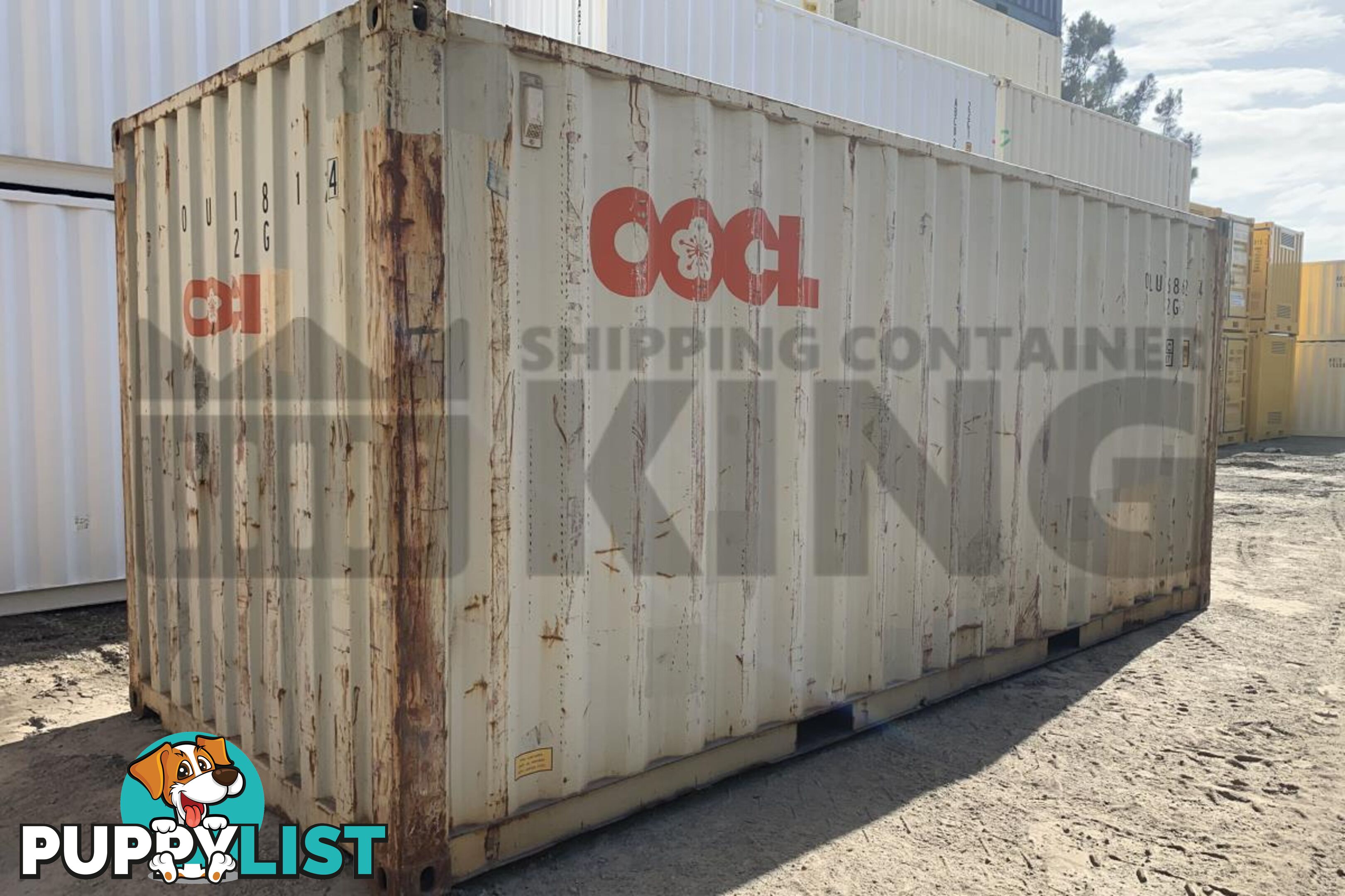 20' STANDARD HEIGHT SHIPPING CONTAINER