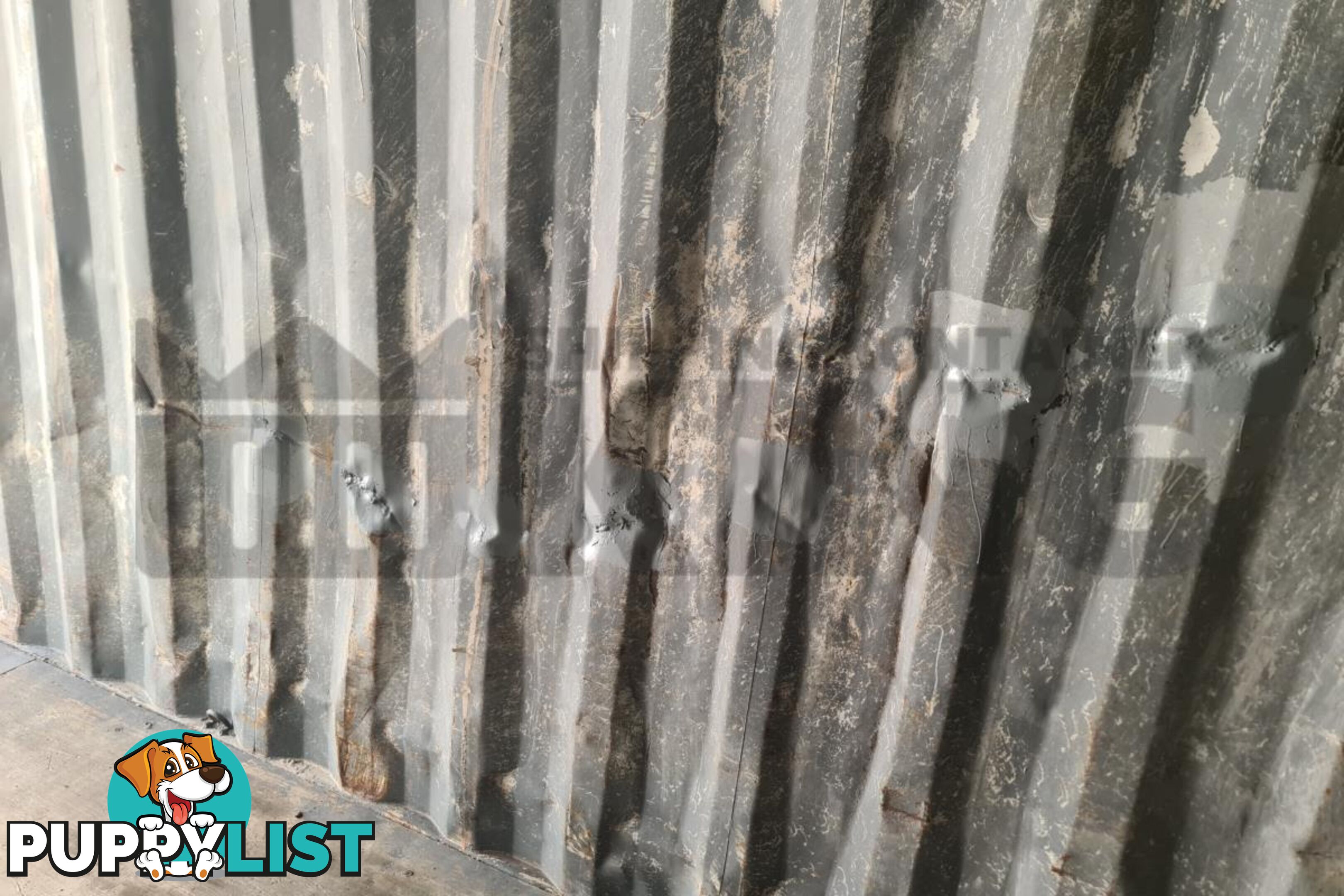 20' STANDARD HEIGHT SHIPPING CONTAINER