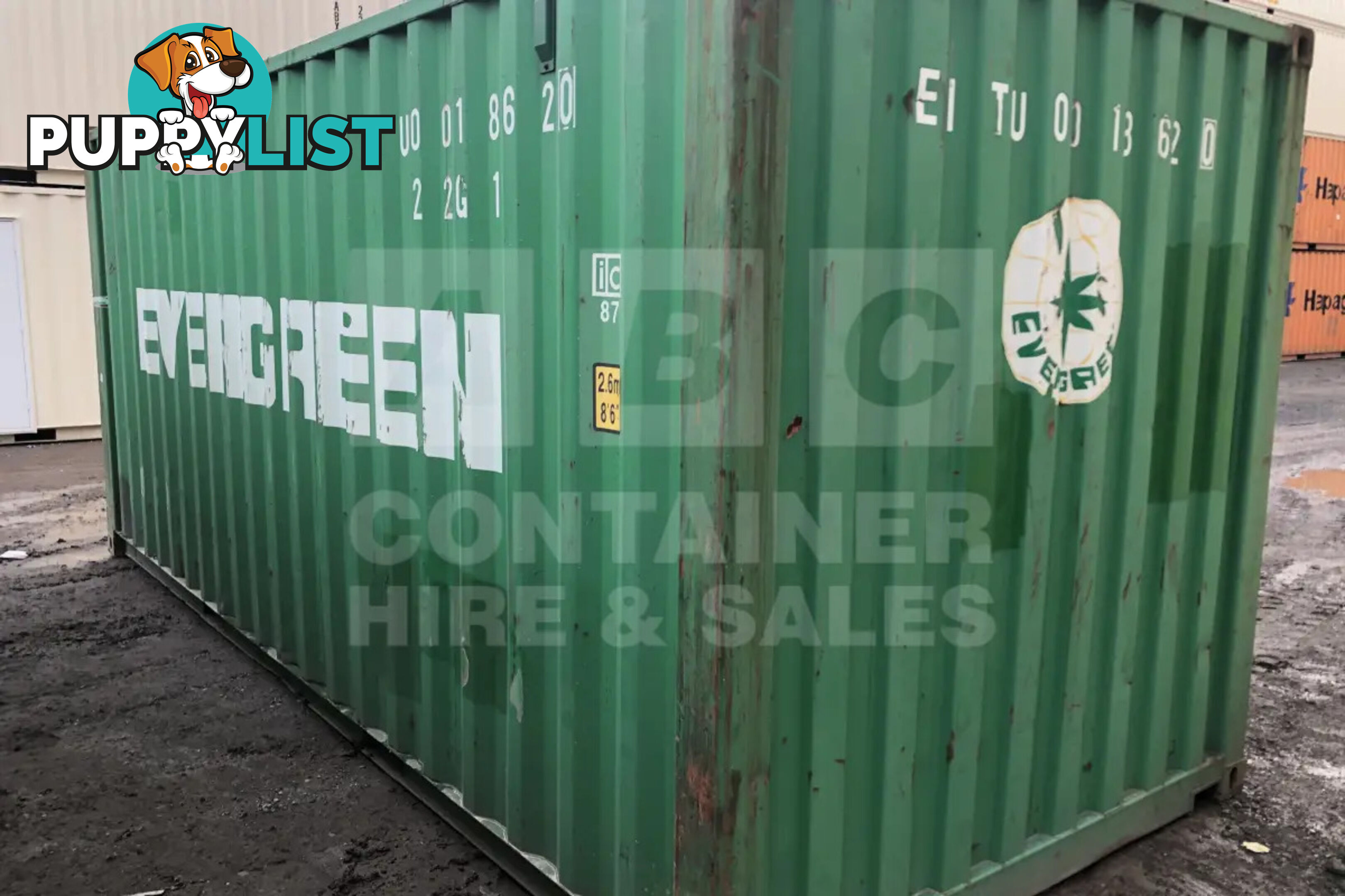 20' STANDARD HEIGHT SHIPPING CONTAINER - in Chinchilla