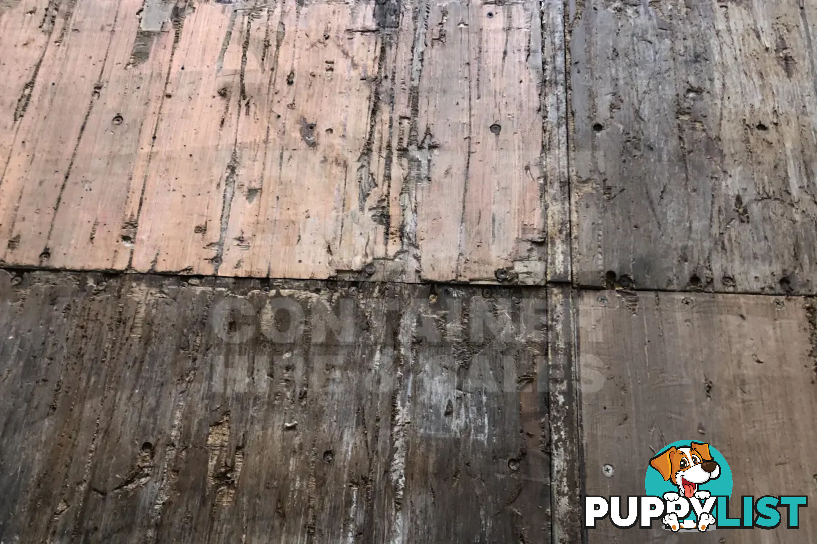 20' STANDARD HEIGHT SHIPPING CONTAINER