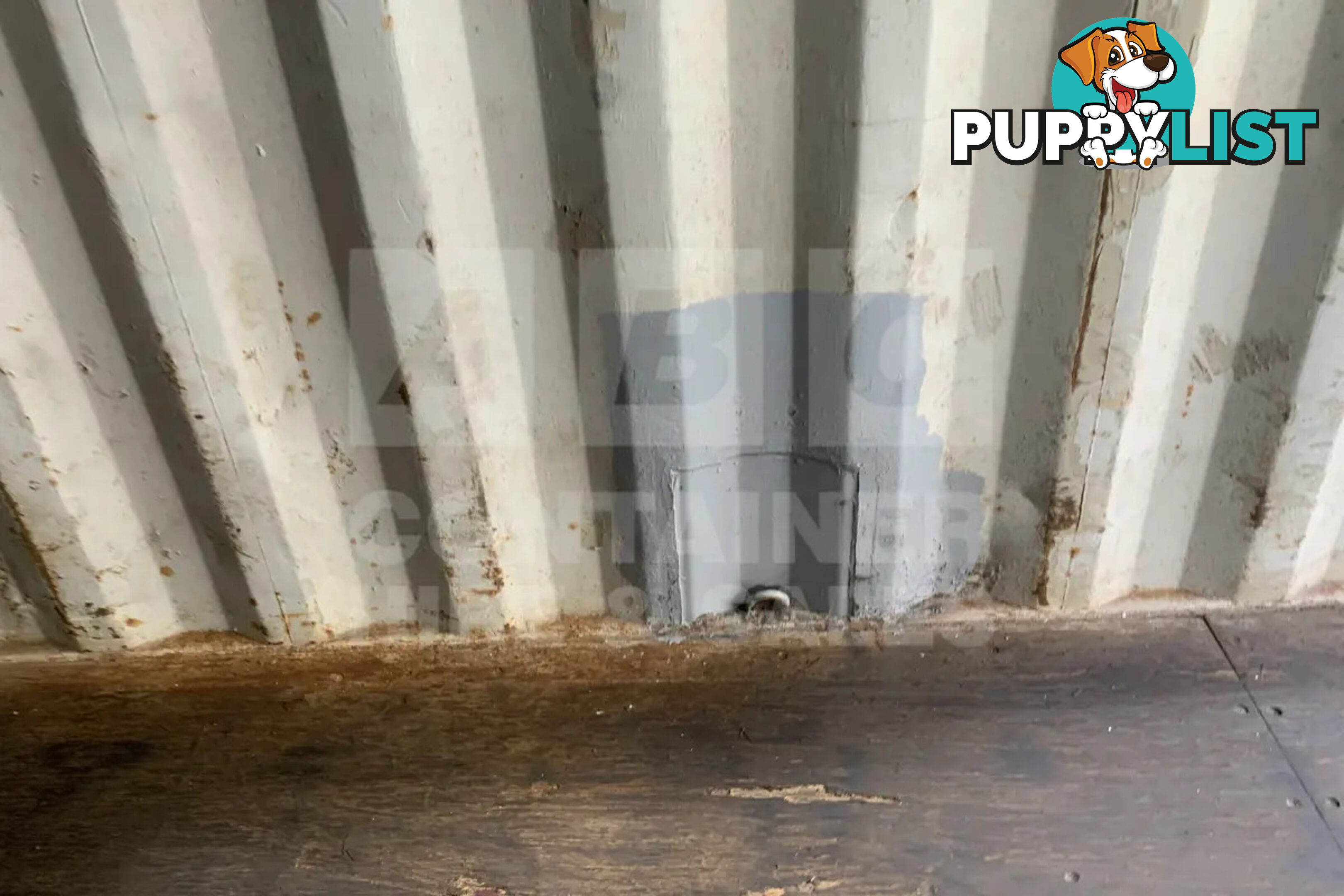 20' STANDARD HEIGHT SHIPPING CONTAINER - in Gympie