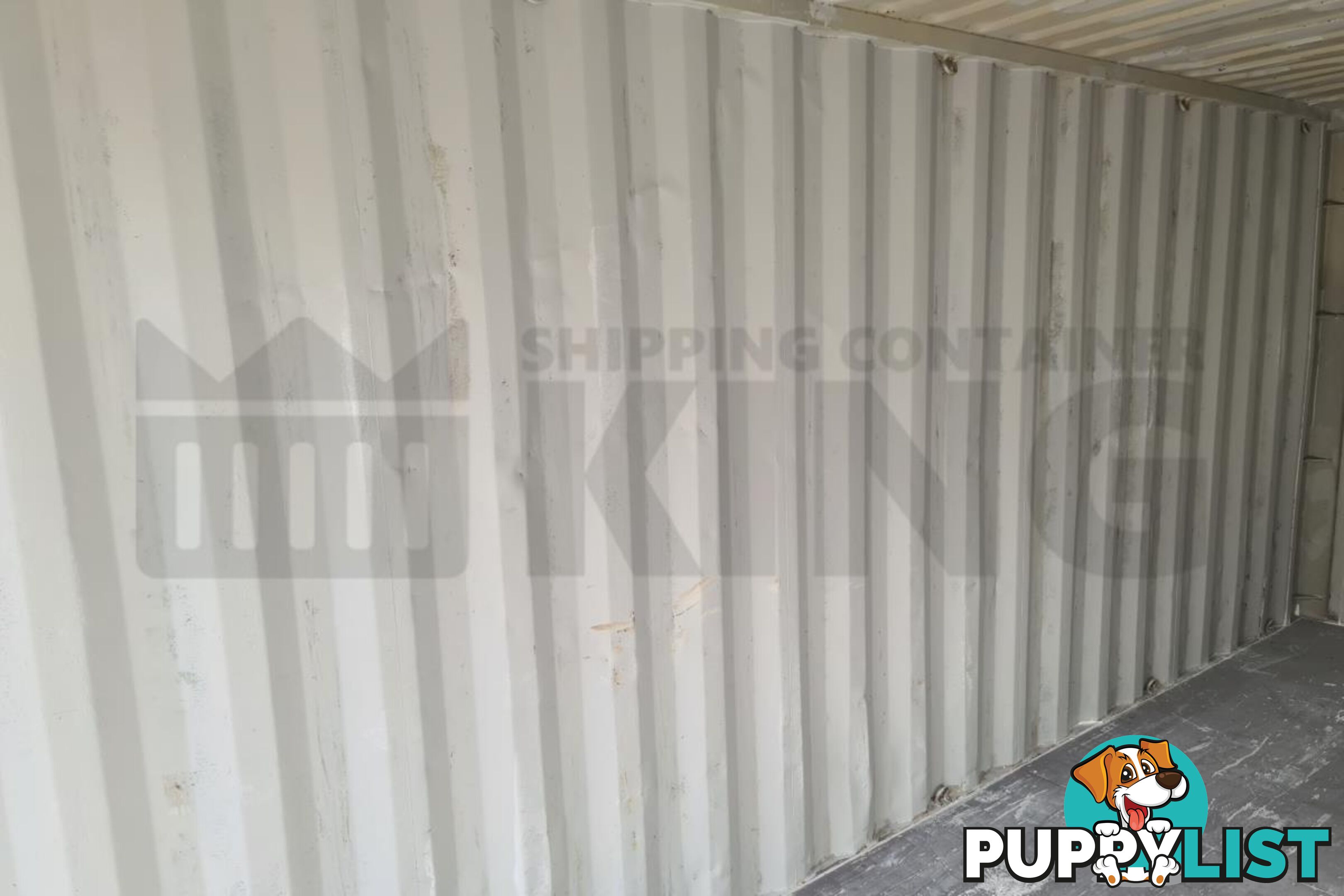 20' STANDARD HEIGHT SHIPPING CONTAINER - in Chinchilla